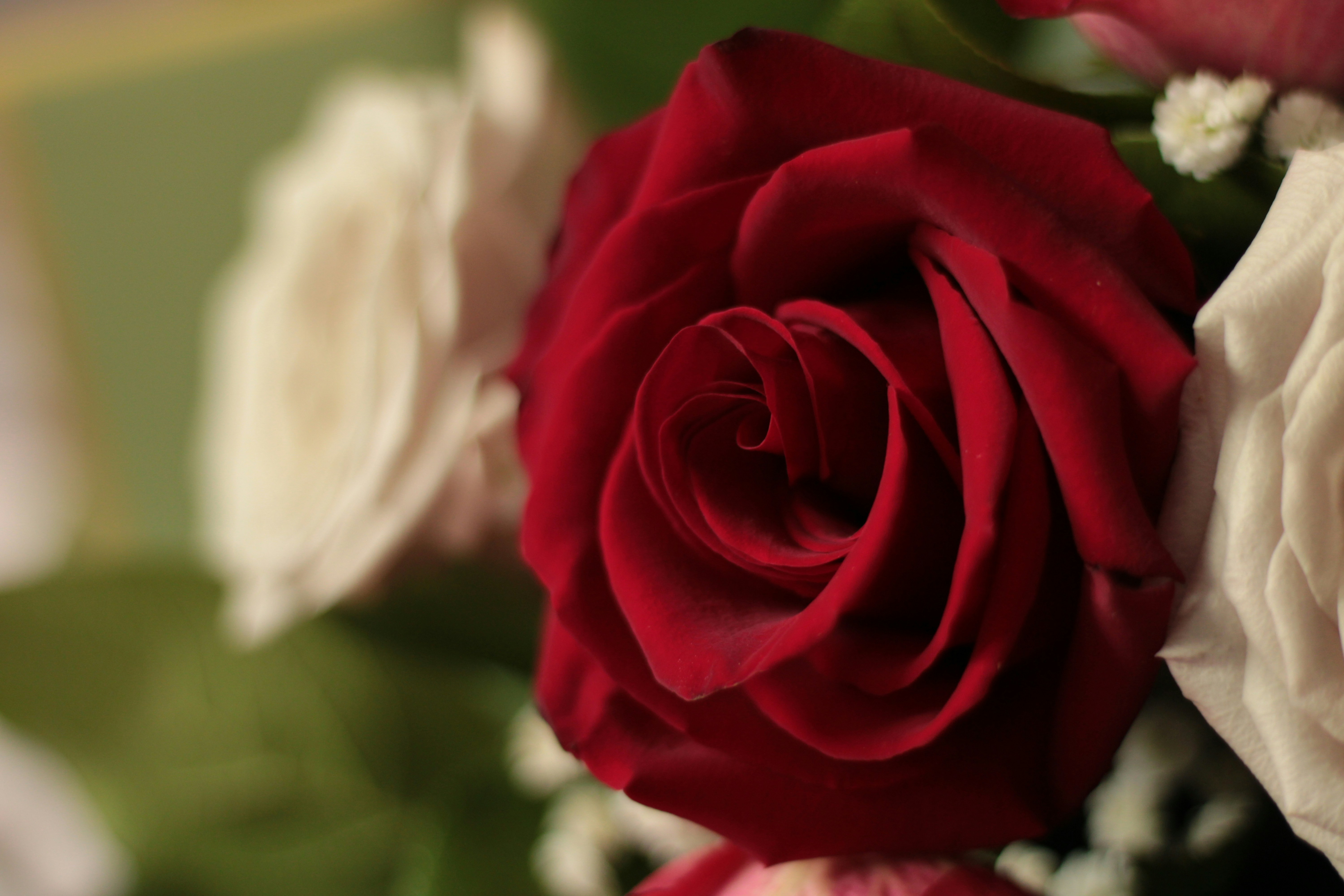 Photo by thorai9akira