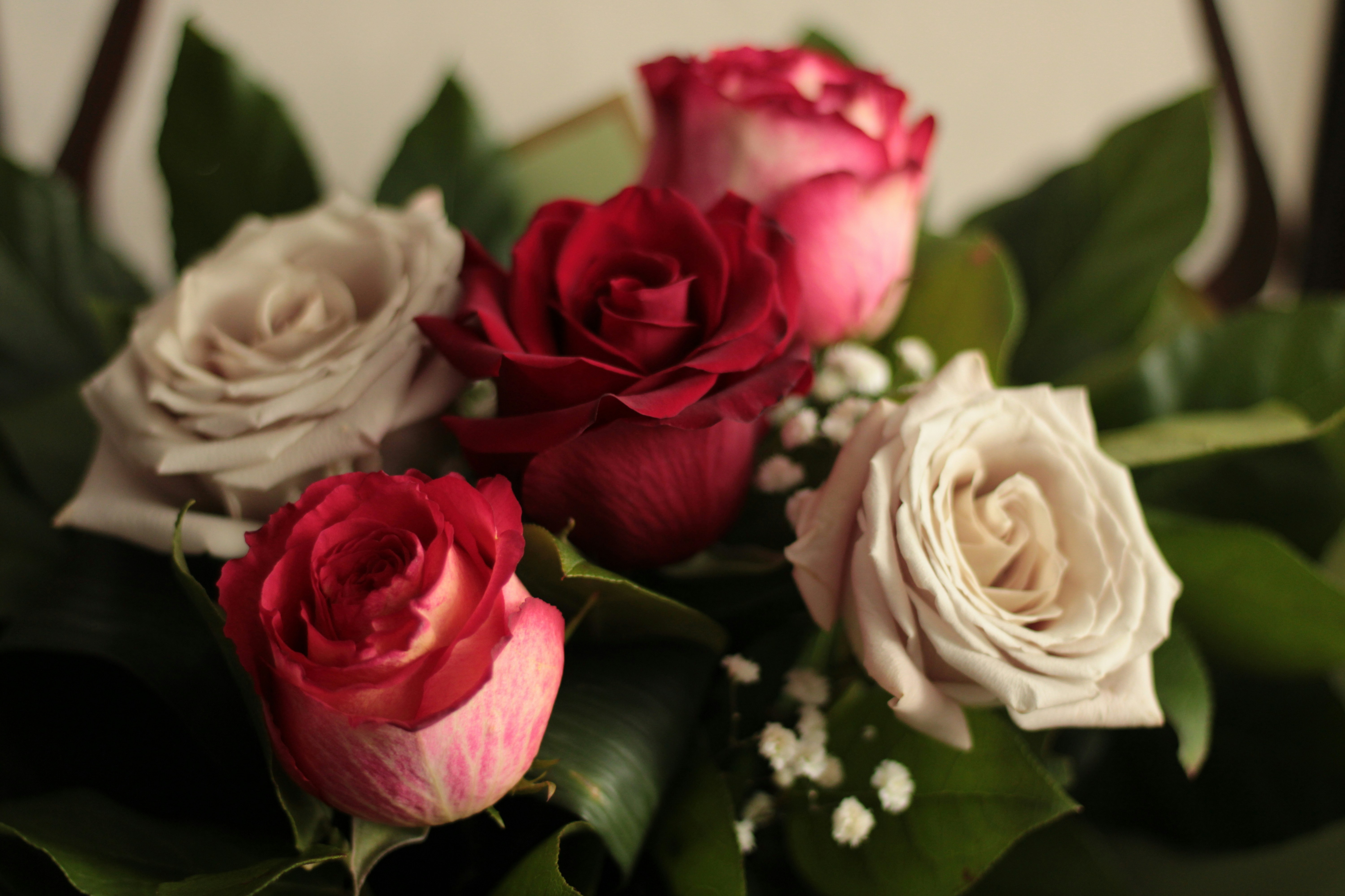 Photo by thorai9akira