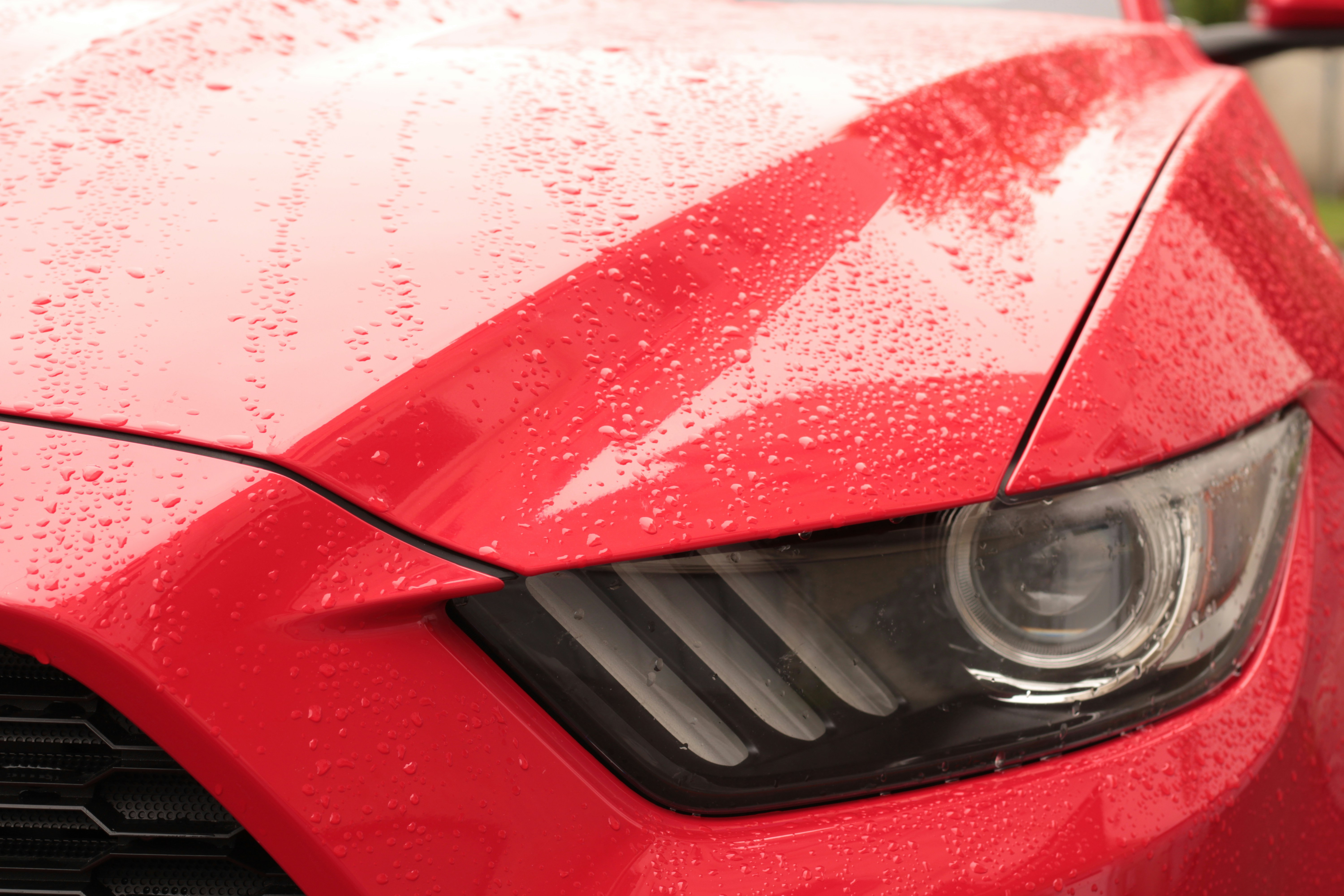 Photo by thorai9akira