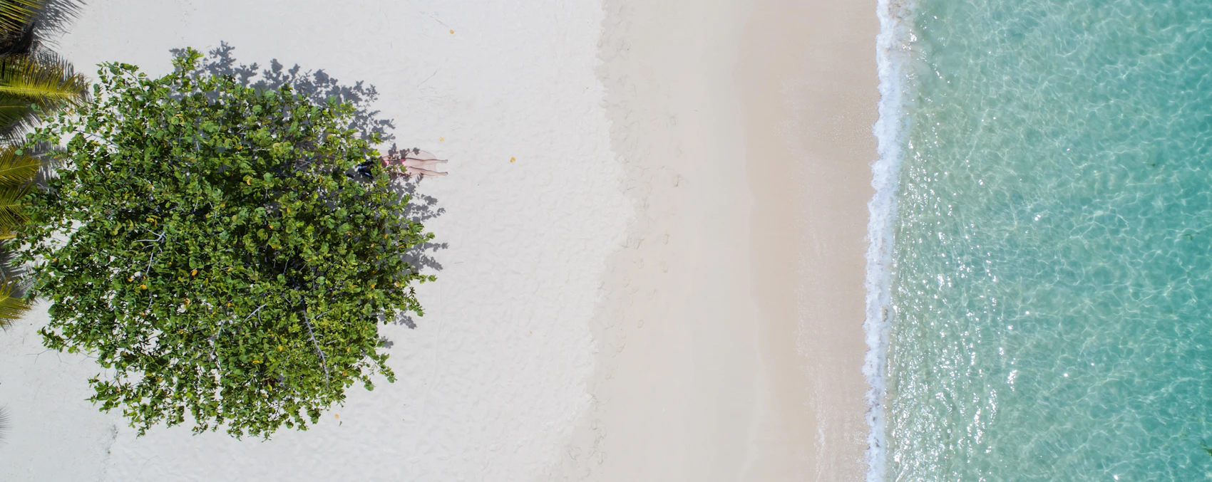 A white-sand beach and clear turquoise water seen from above in Grenada
