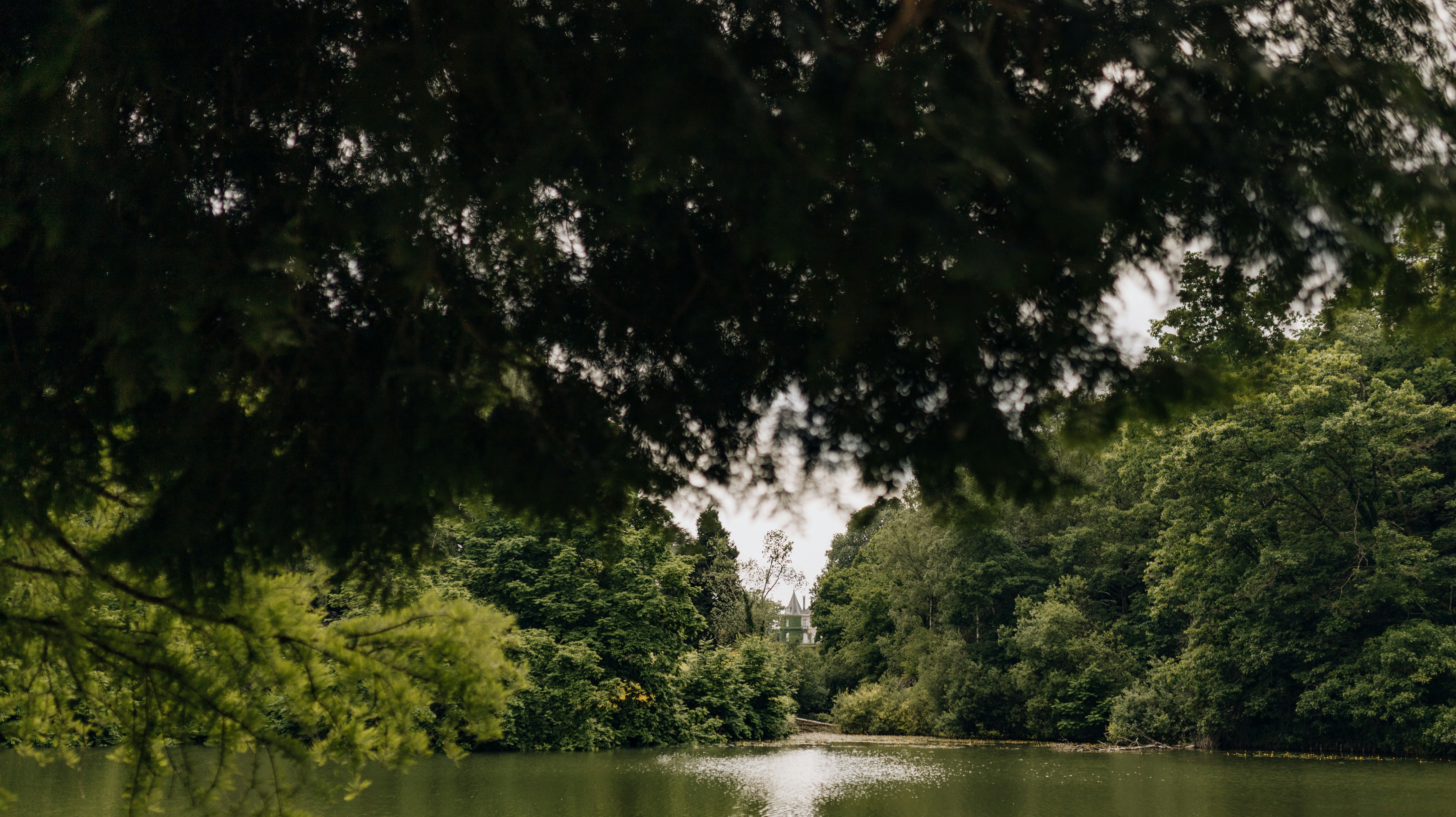 Photo by lethiciamatos