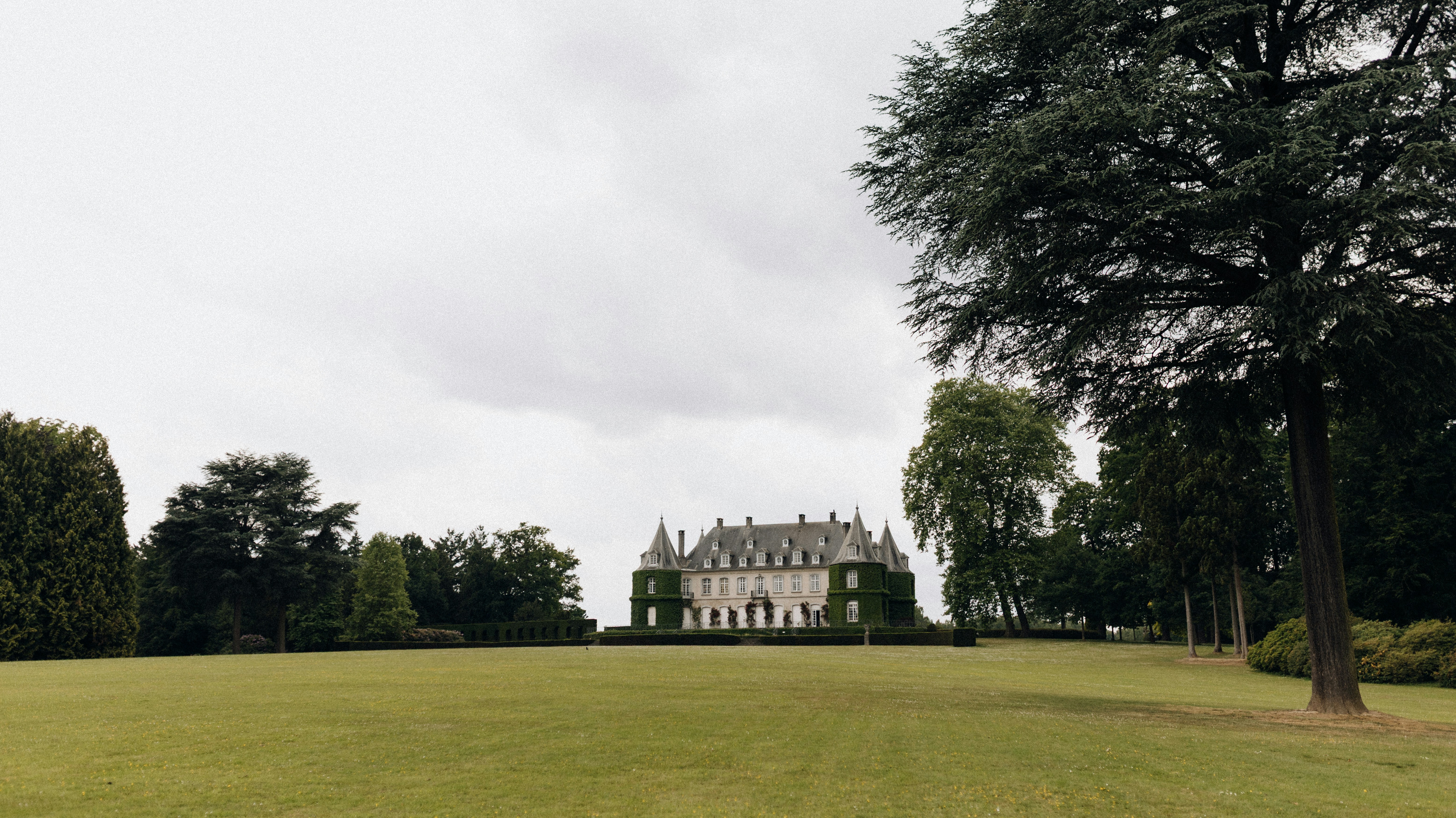 Photo by lethiciamatos