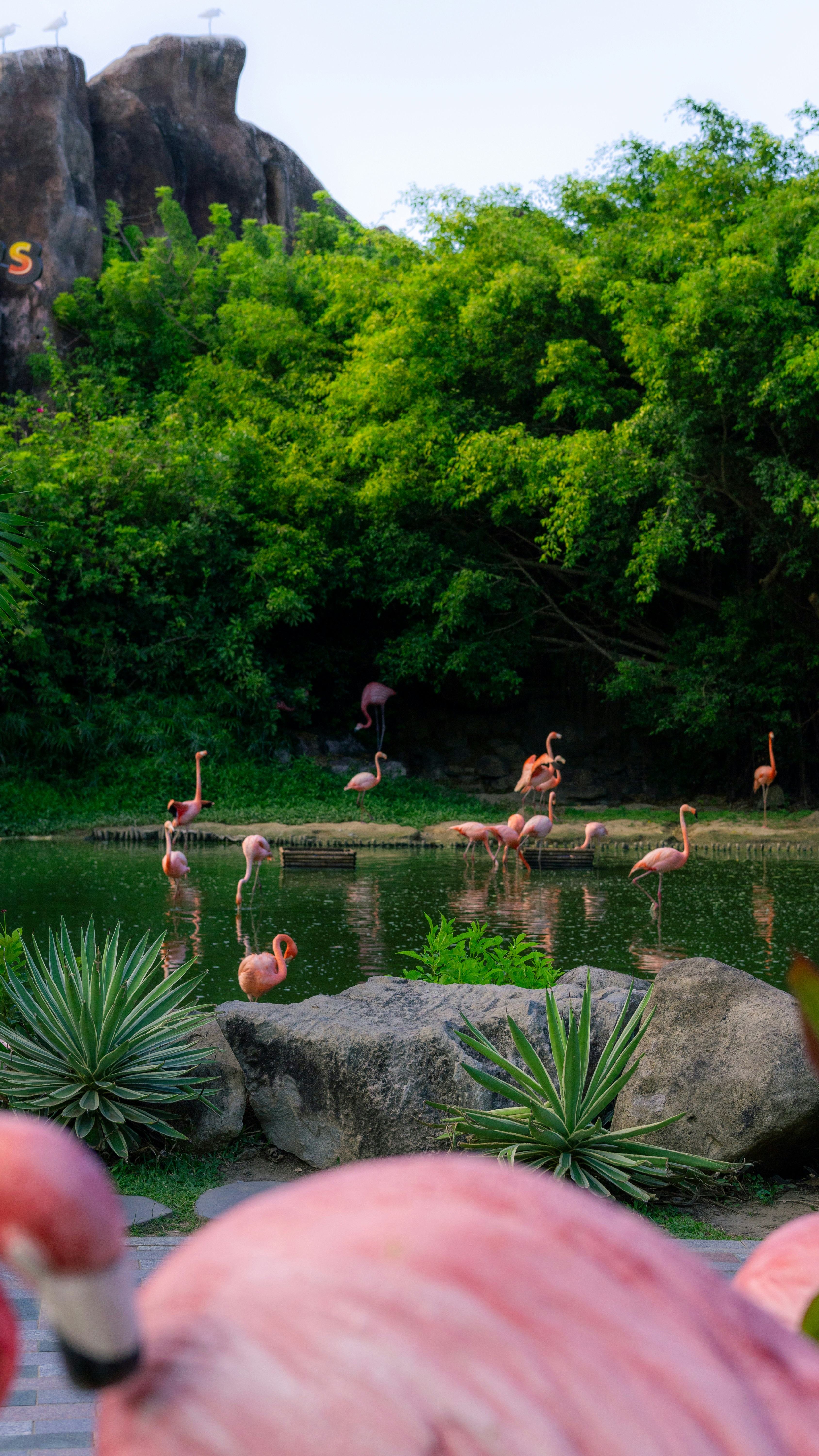 푸꾸옥 가족 여행 필수 코스: 빈펄 사파리 기린 레스토랑 체험 및 빈원더스 아쿠아리움 관람 팁 이미지1