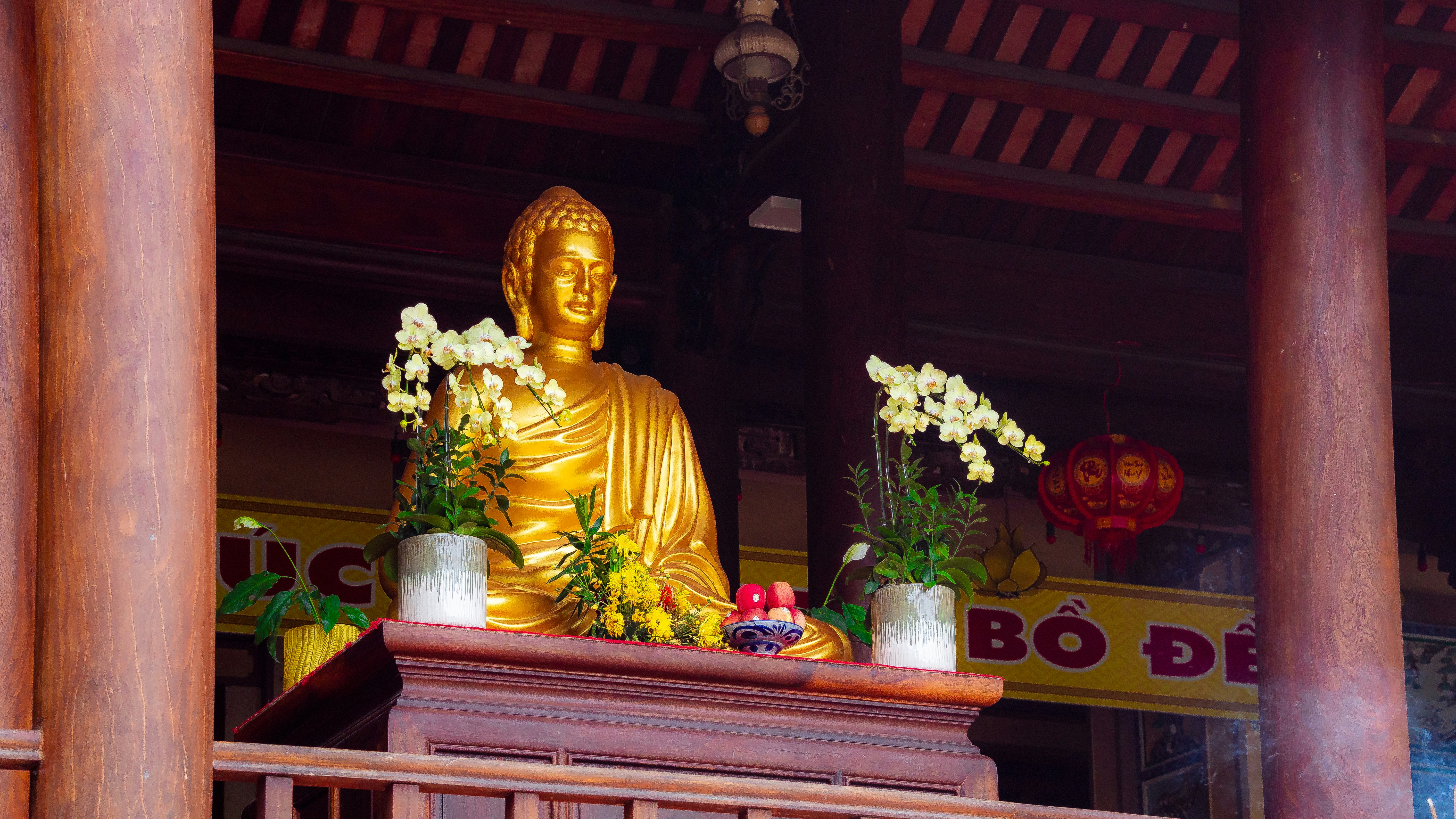 Photo by wonderfulsanchez