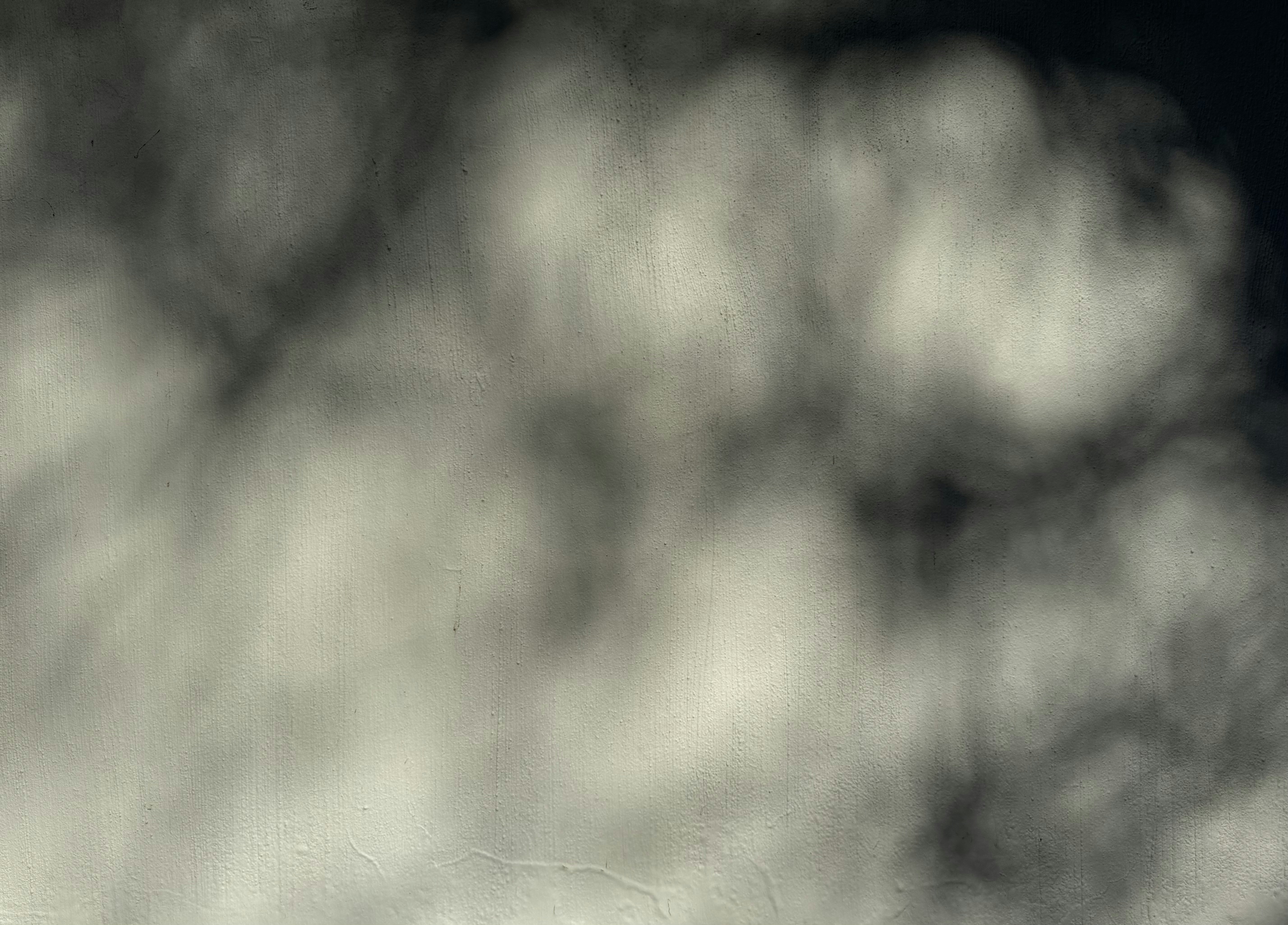 photo-1748853760219-b5c67daafe9b?ixid=M3wxMjA3fDB8MXxzZWFyY2h8MTV8fGh0dHBzJTIwJTJGJTJGZGwuaGlnaHN0YWtlc3dlZXBzLmNvbSUyMGxvZ2lufGVufDB8fHx8MTc1ODU4NTY2MXww\u0026ixlib=rb-4.1.0