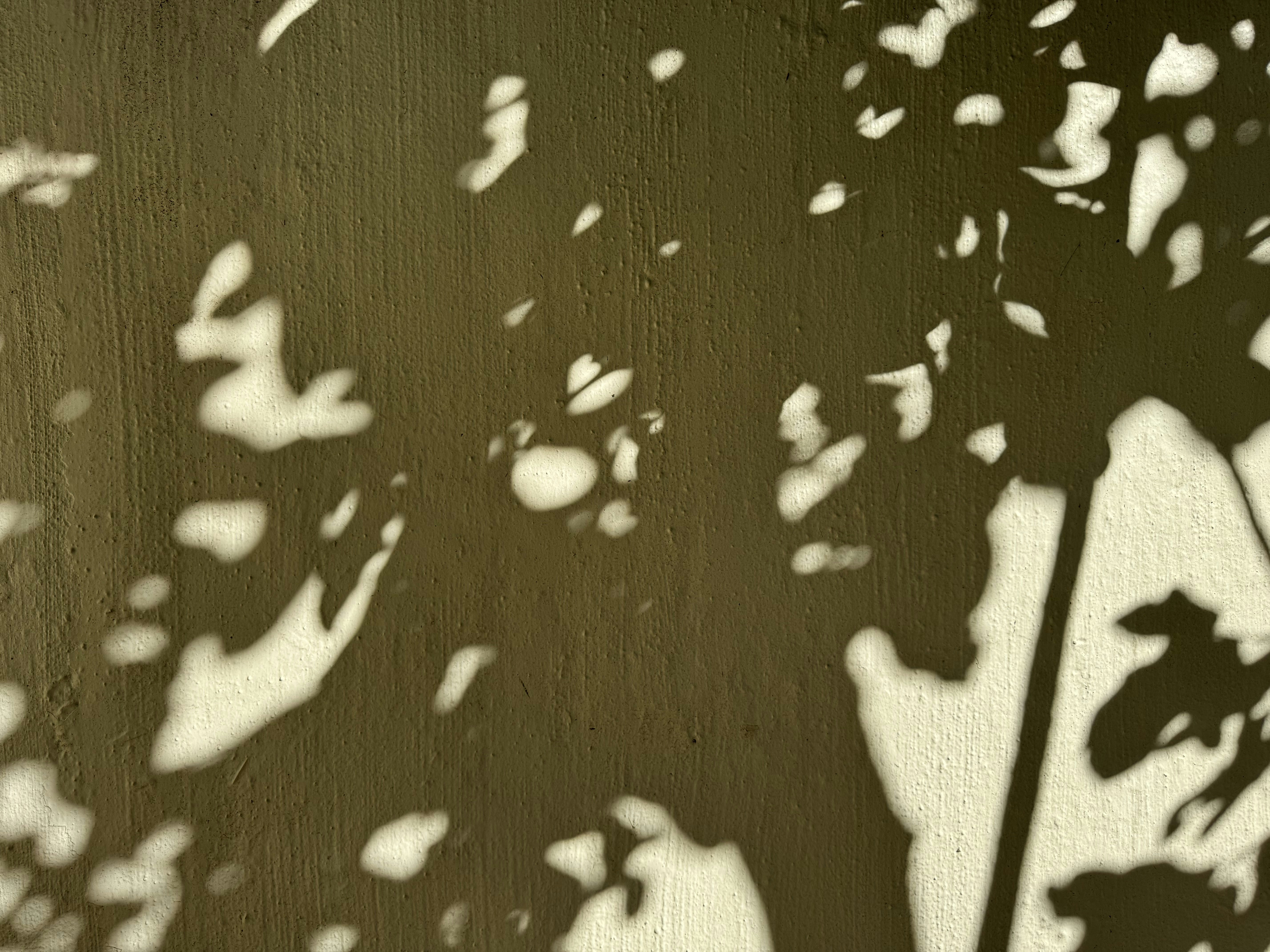 Photo by jonathanburger