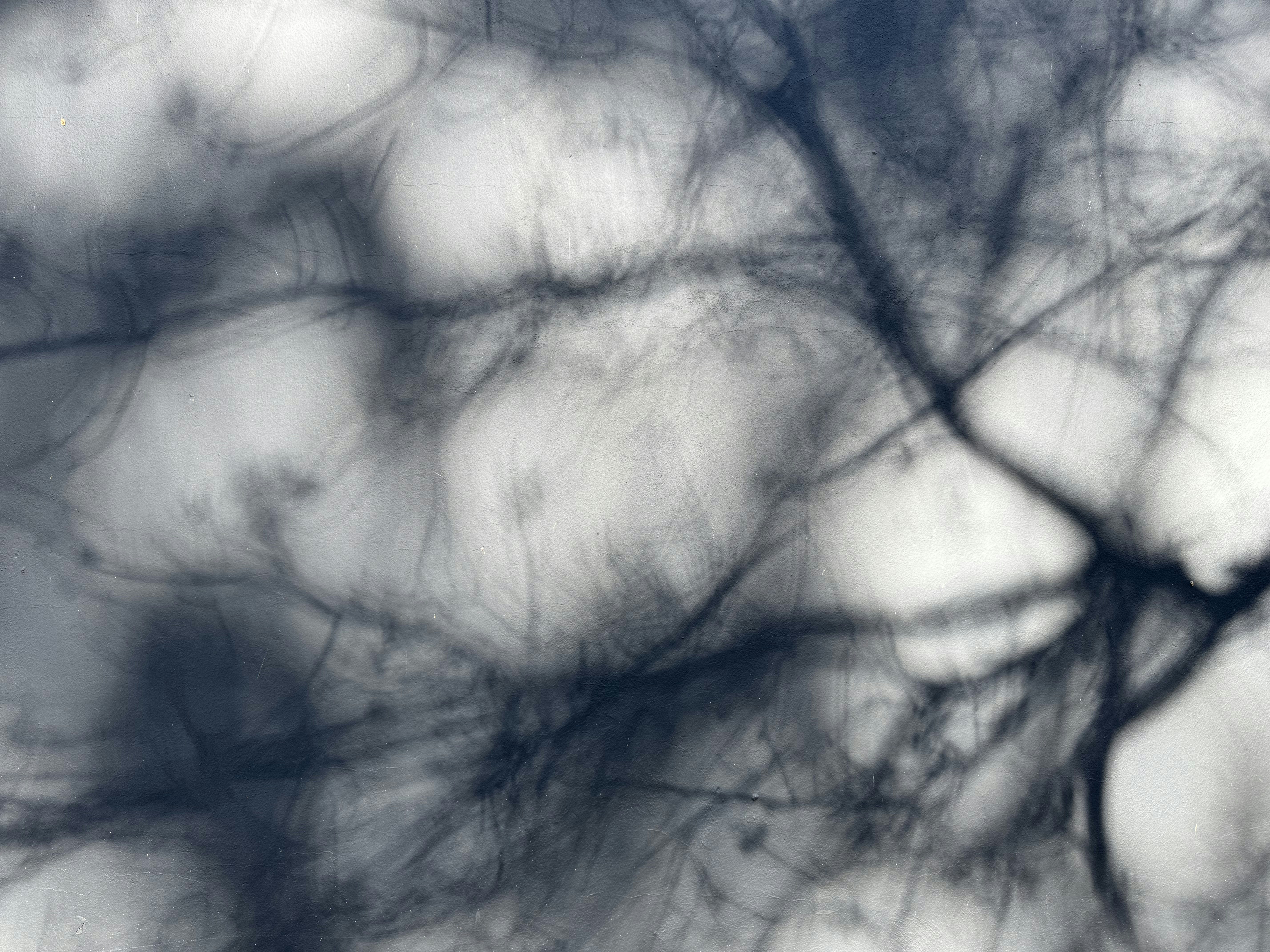 Photo by jonathanburger