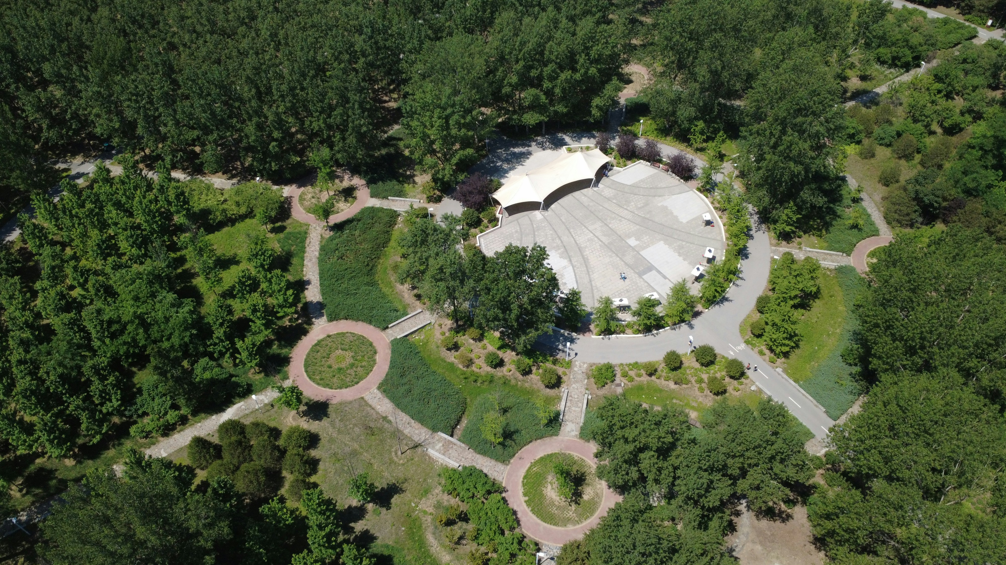 Photo by jack_dragon_gallery