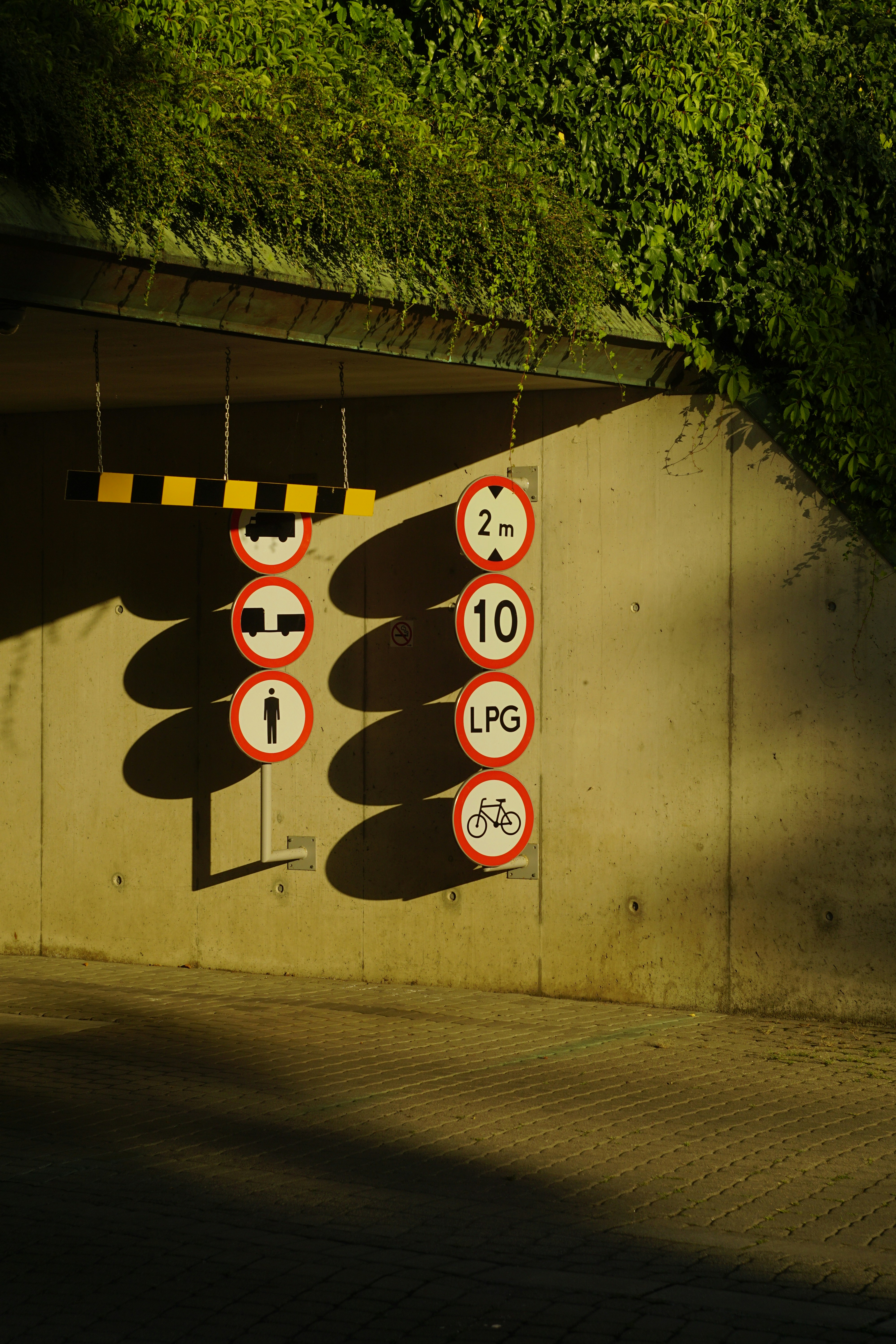 Illustration showing Noopept usage cycle and suggested timing for tolerance management