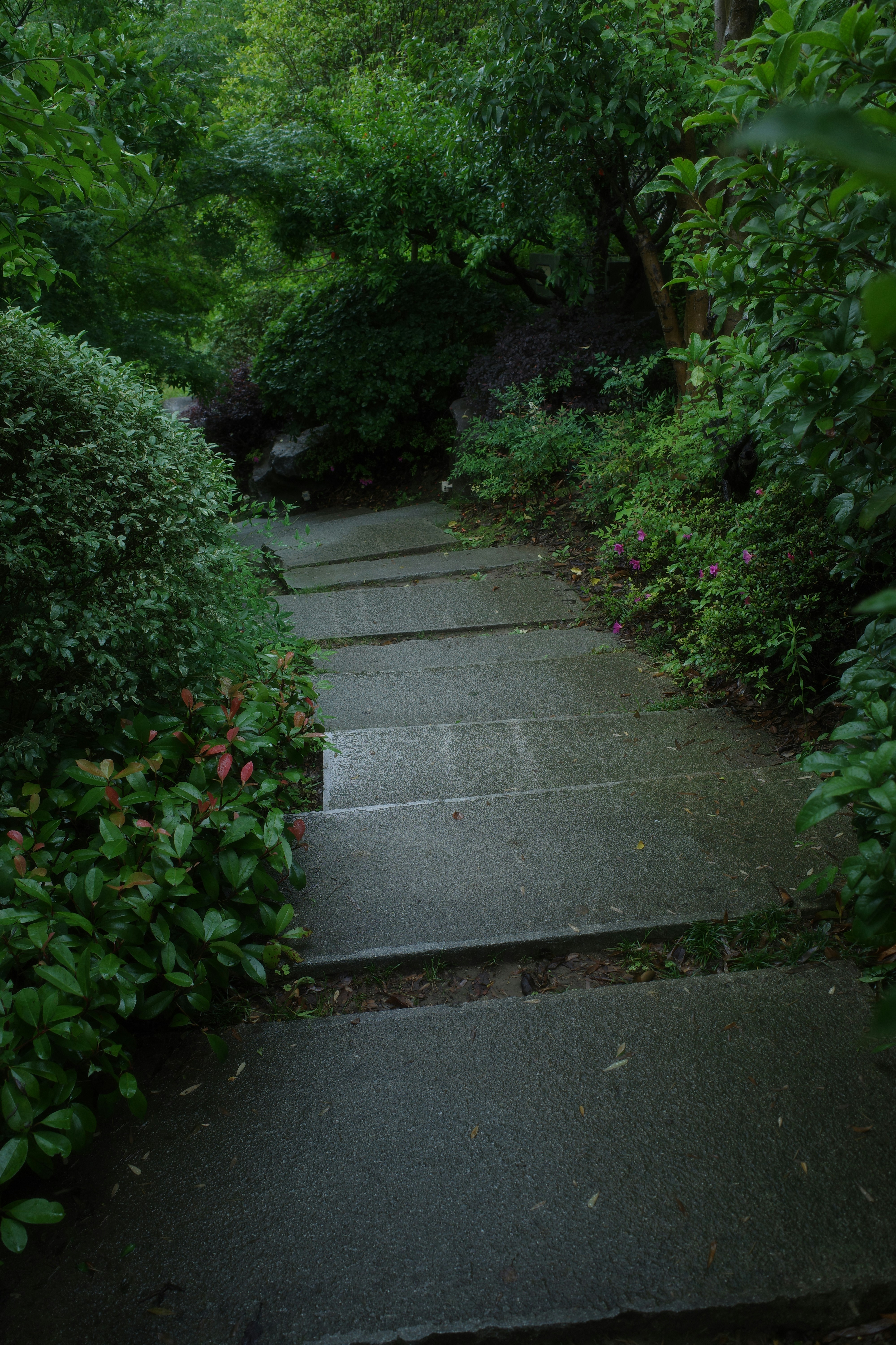 Peaceful park