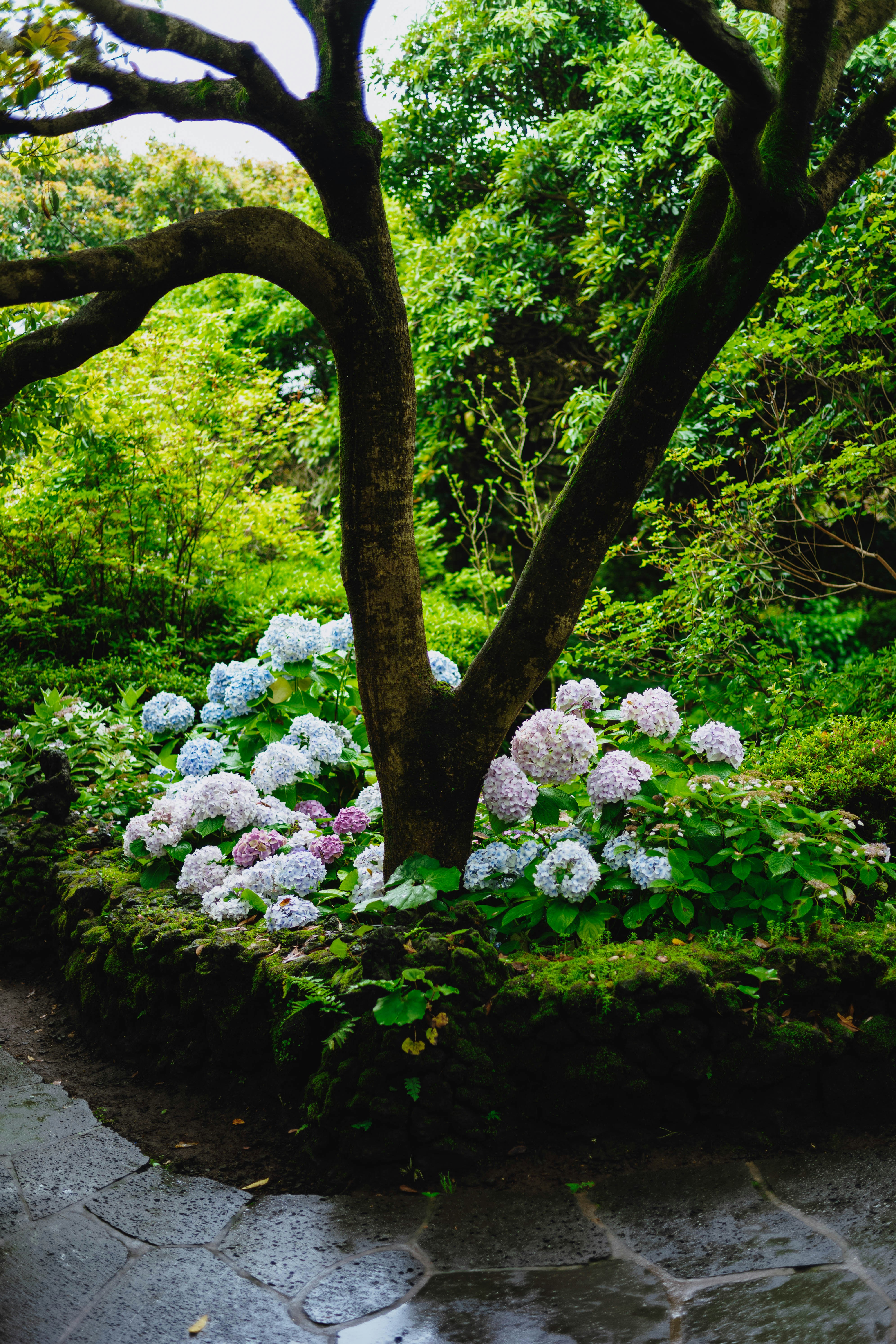 Photo by tommaomaoer