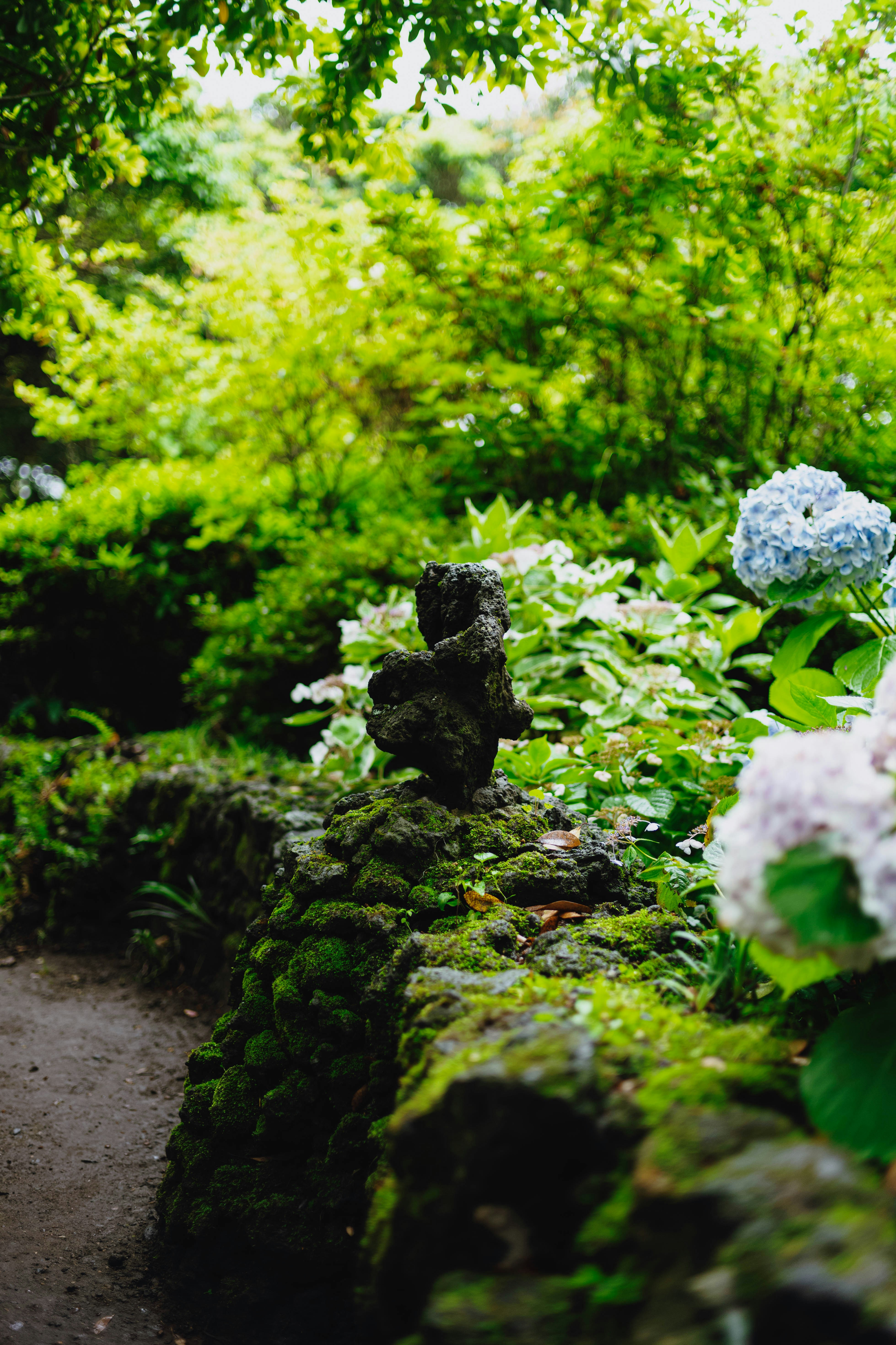 Photo by tommaomaoer