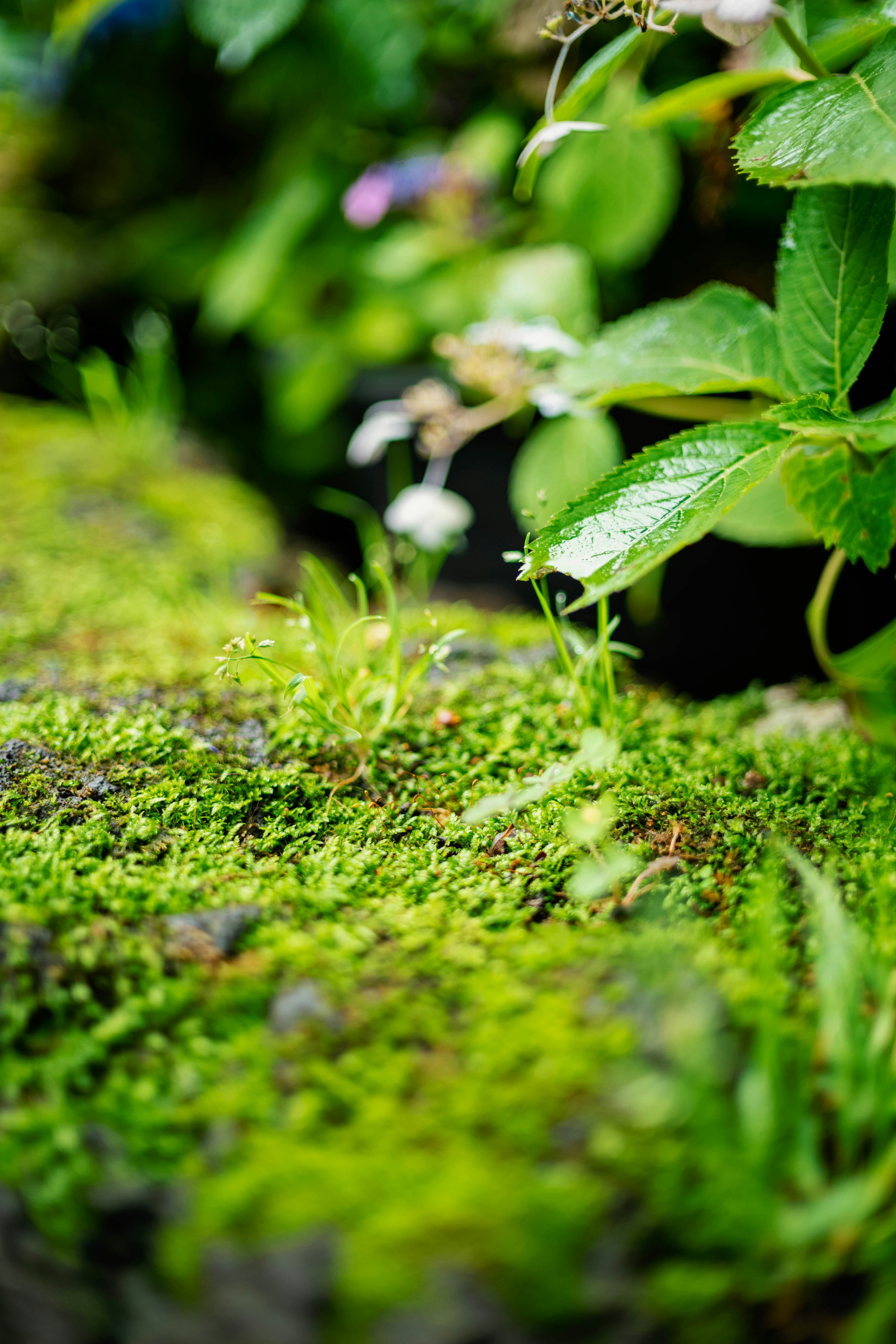 Photo by tommaomaoer