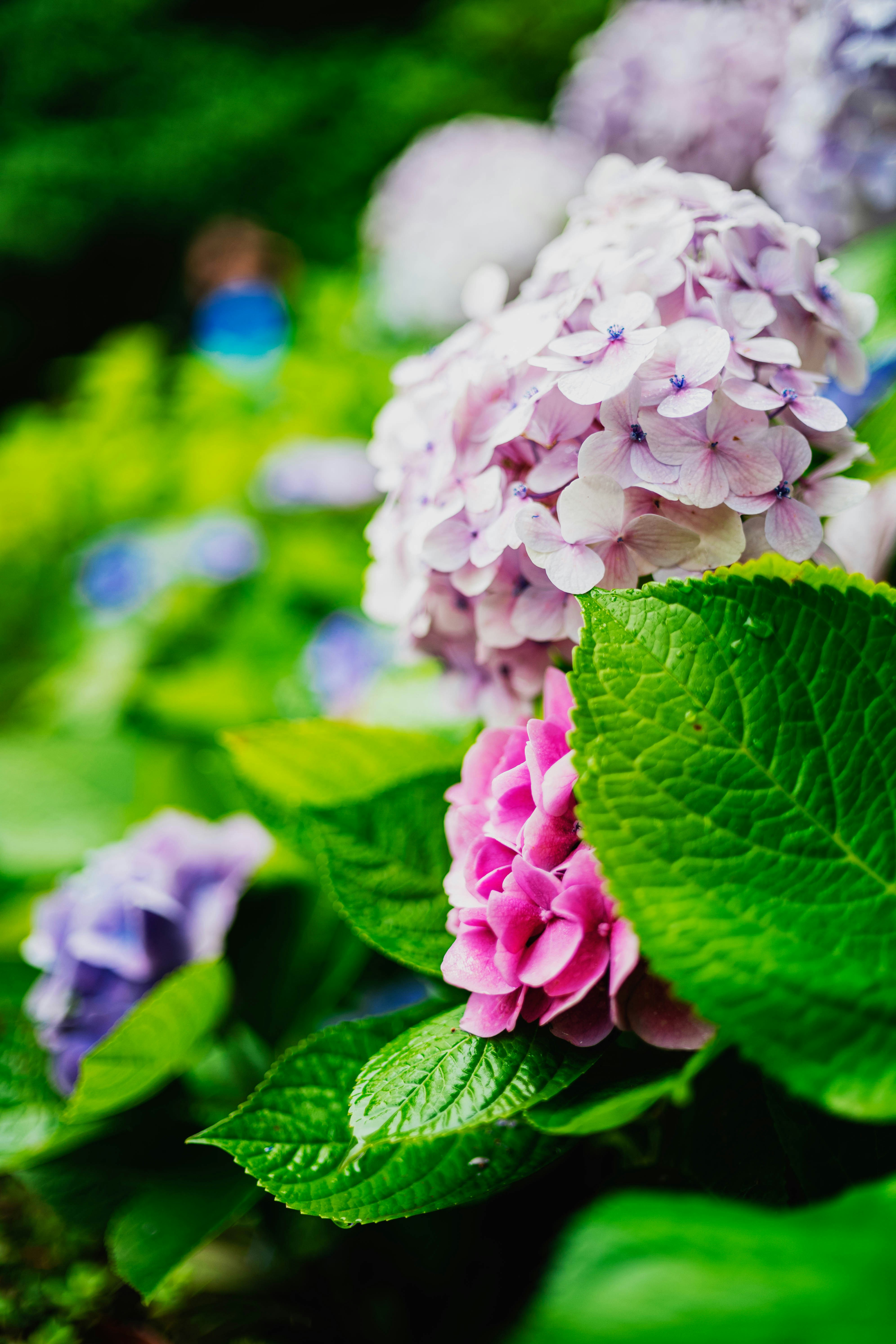 Photo by tommaomaoer