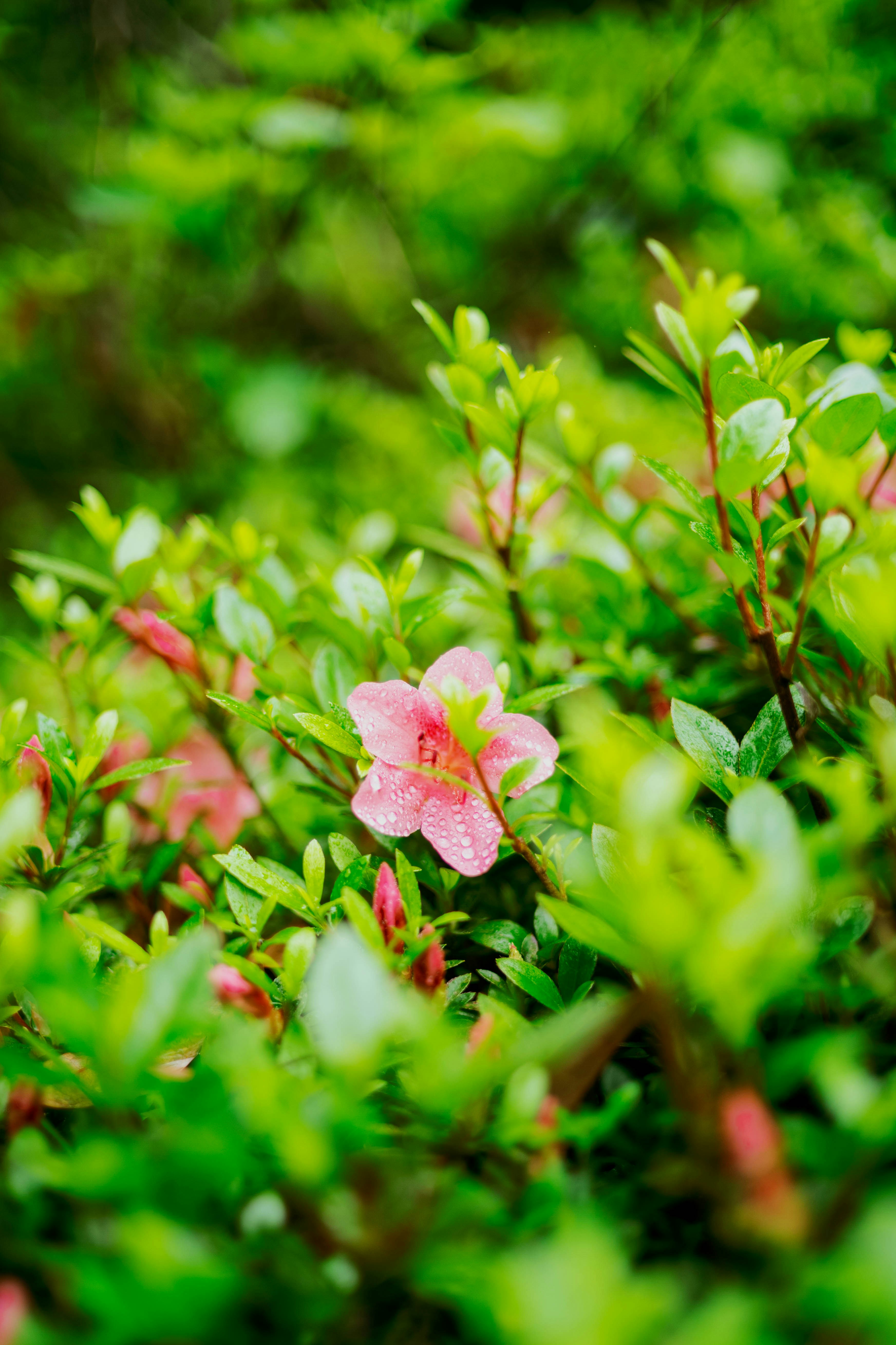 Photo by tommaomaoer