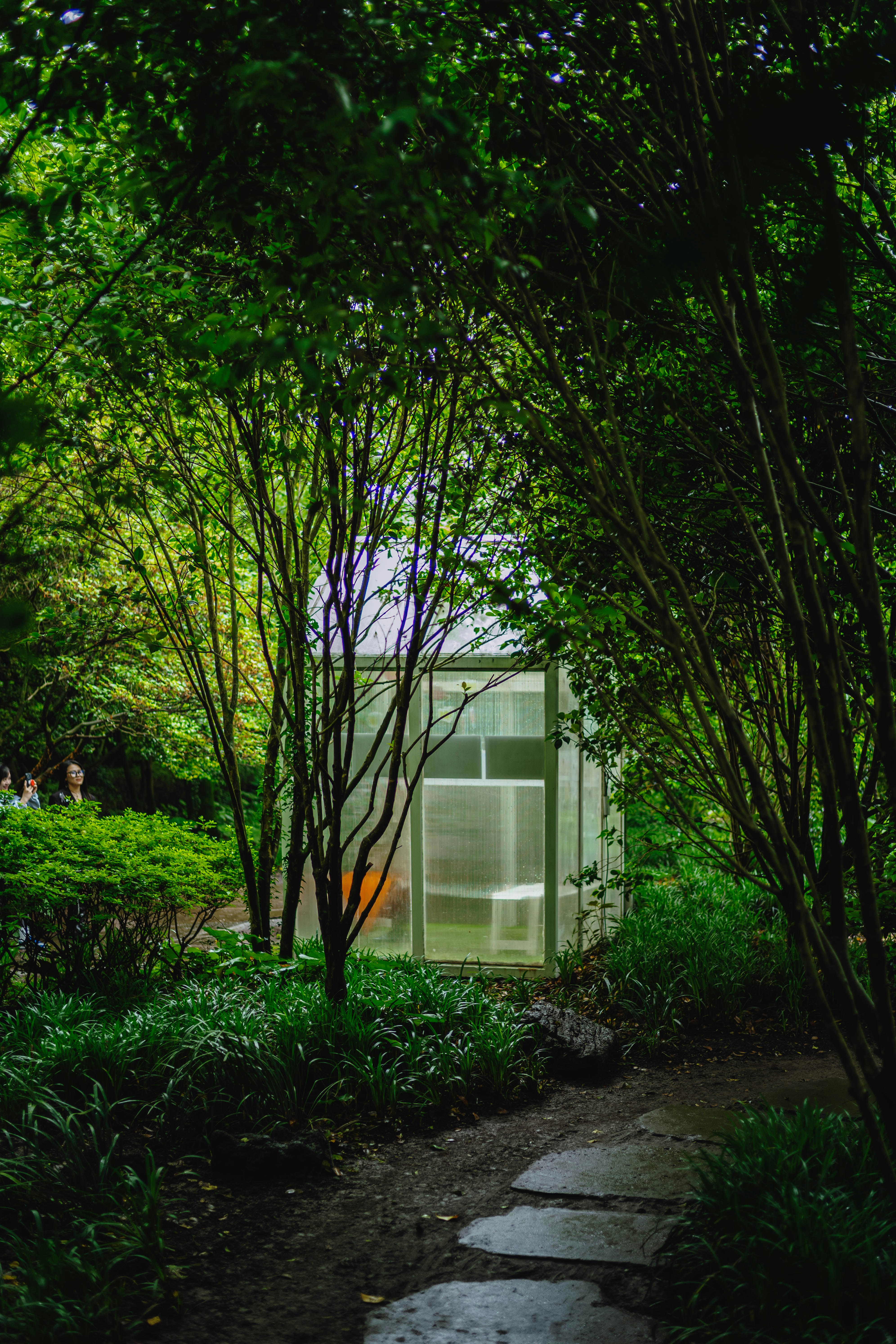 Photo by tommaomaoer