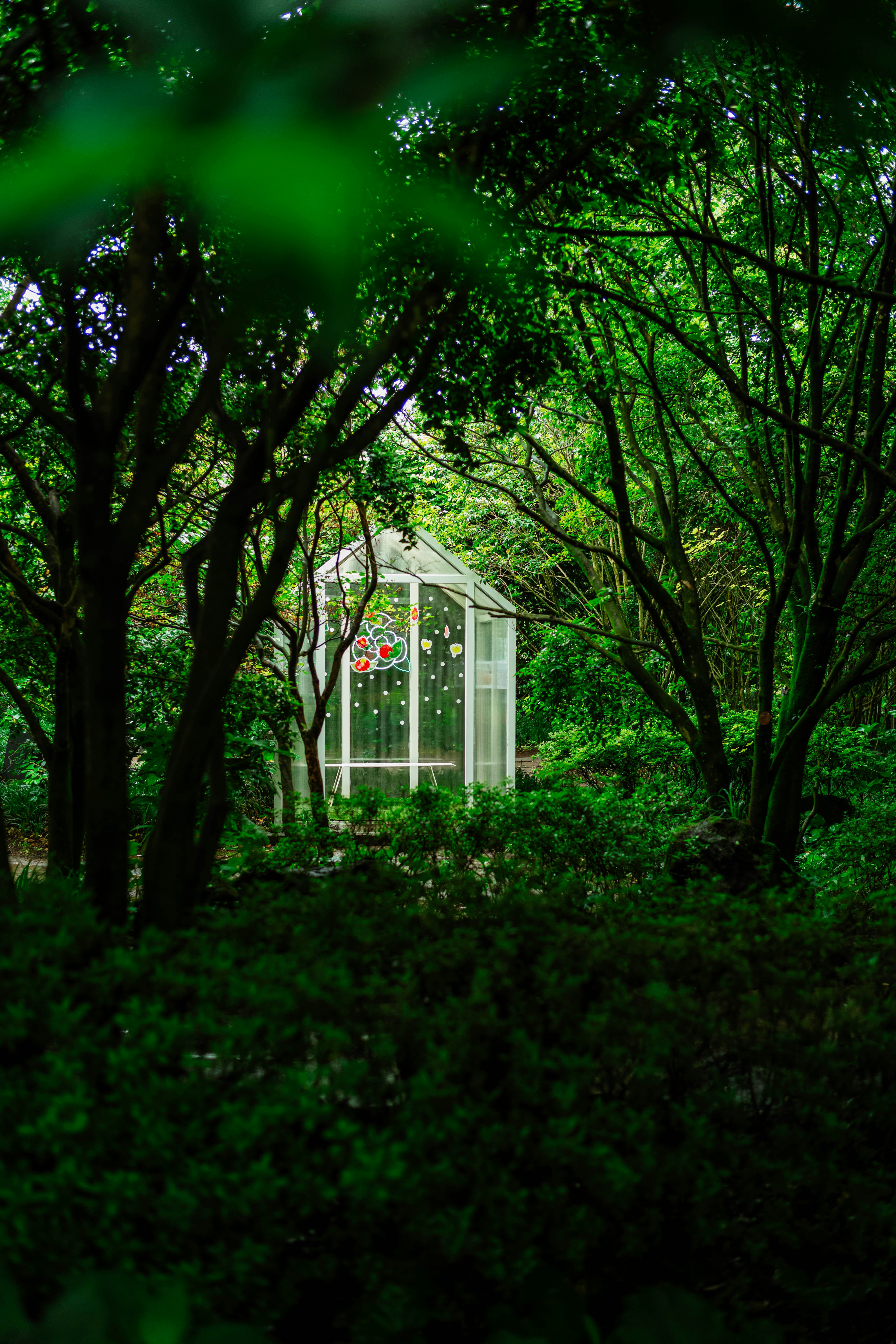 Photo by tommaomaoer