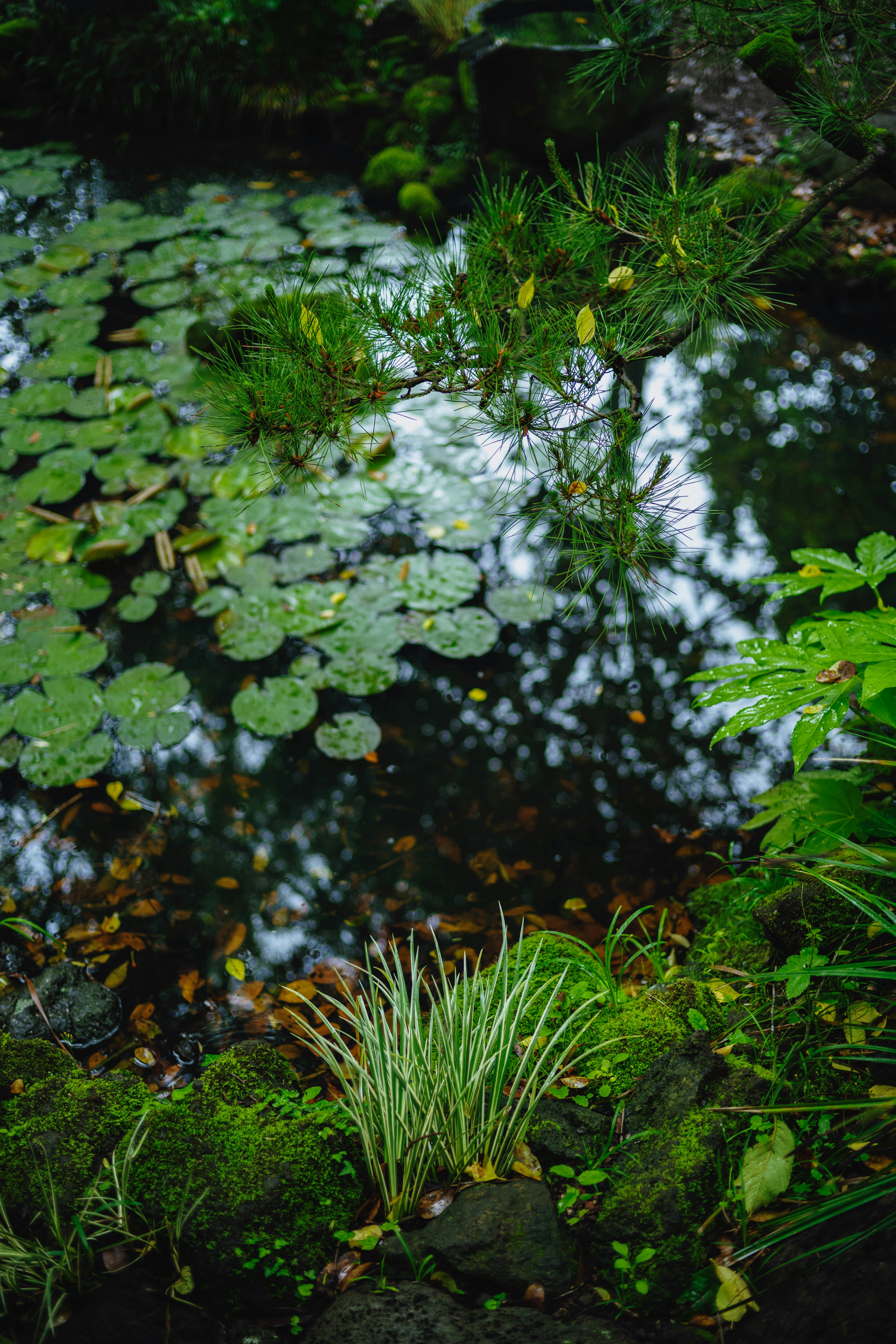 Photo by tommaomaoer