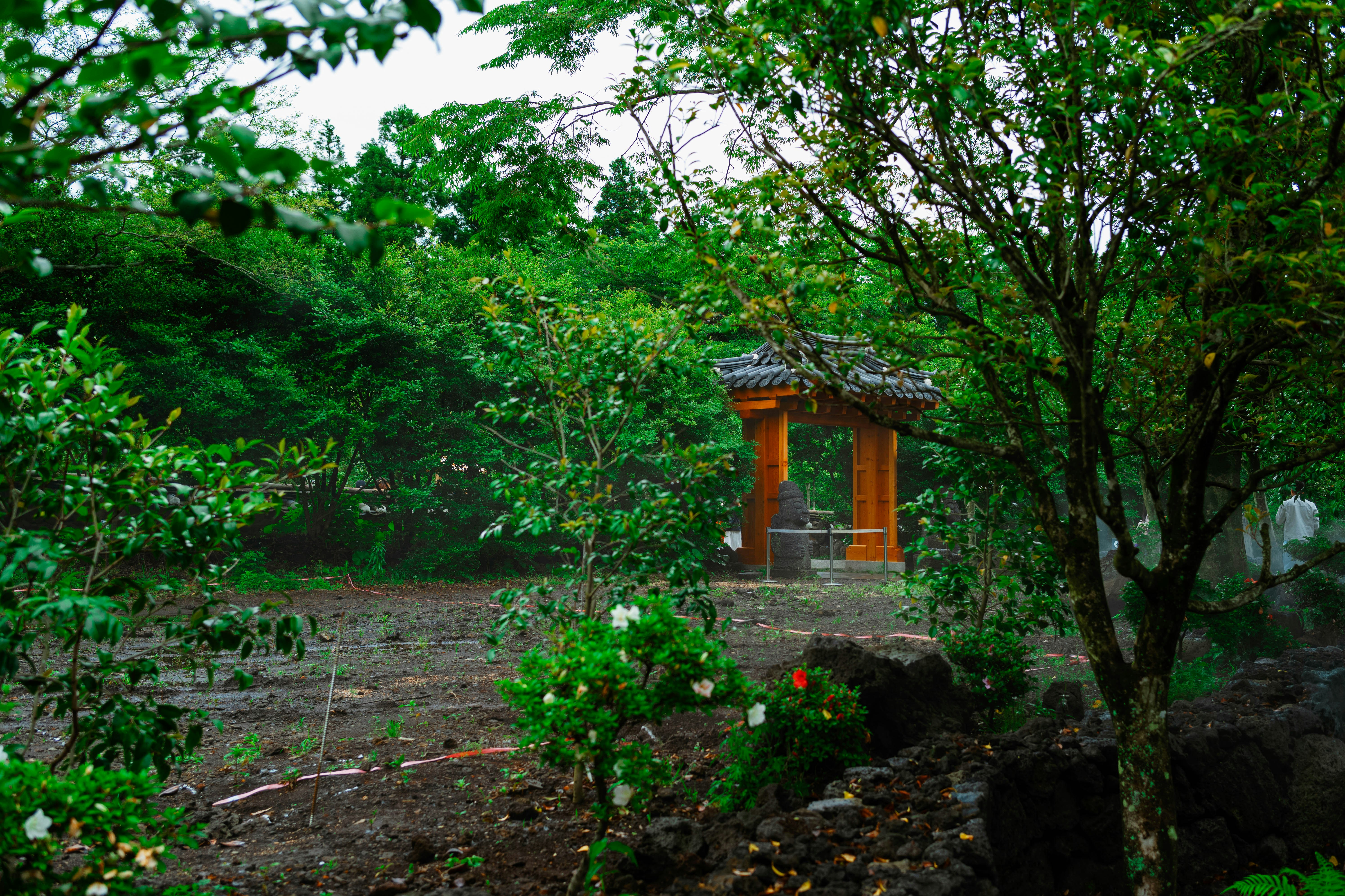 Photo by tommaomaoer