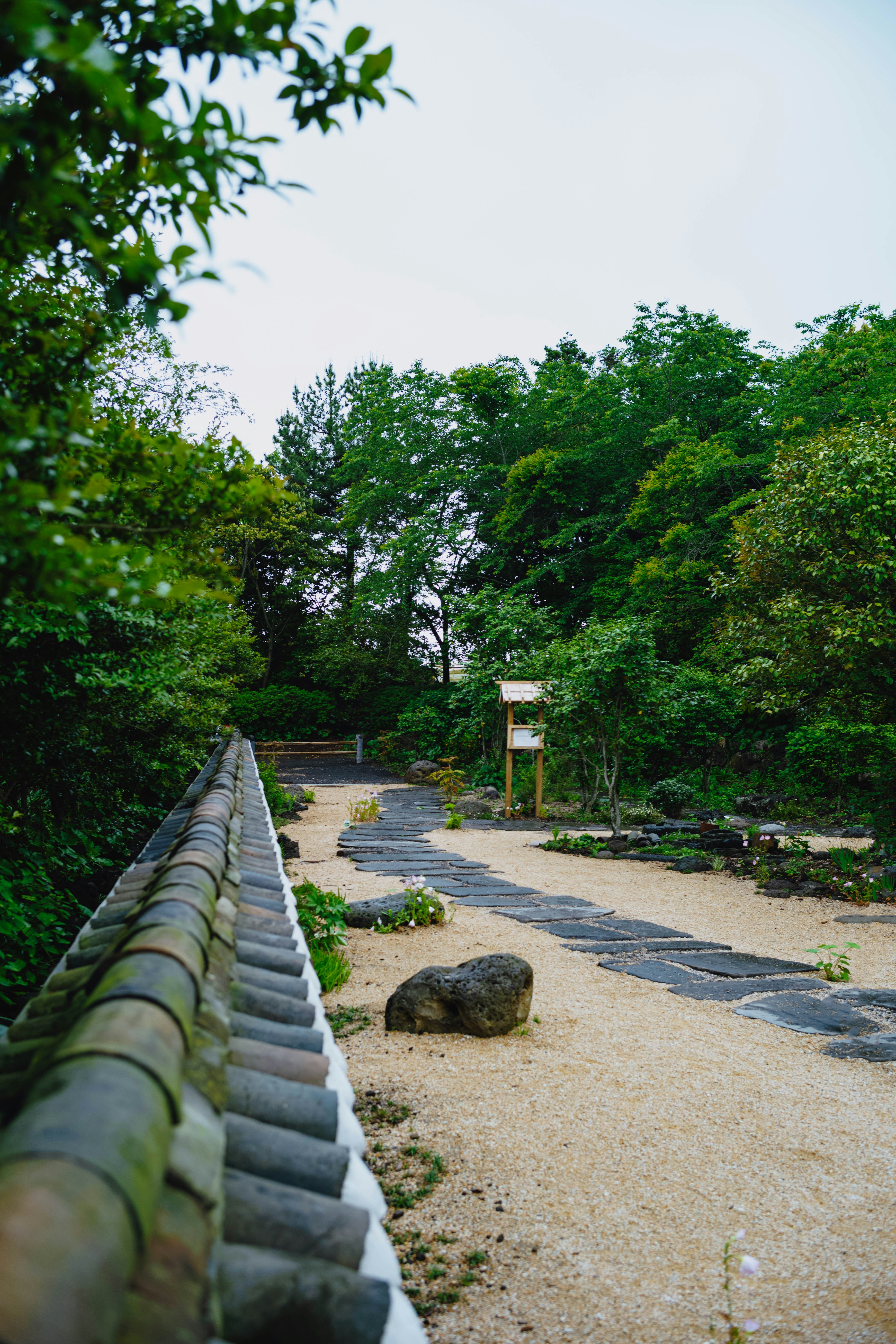 Photo by tommaomaoer