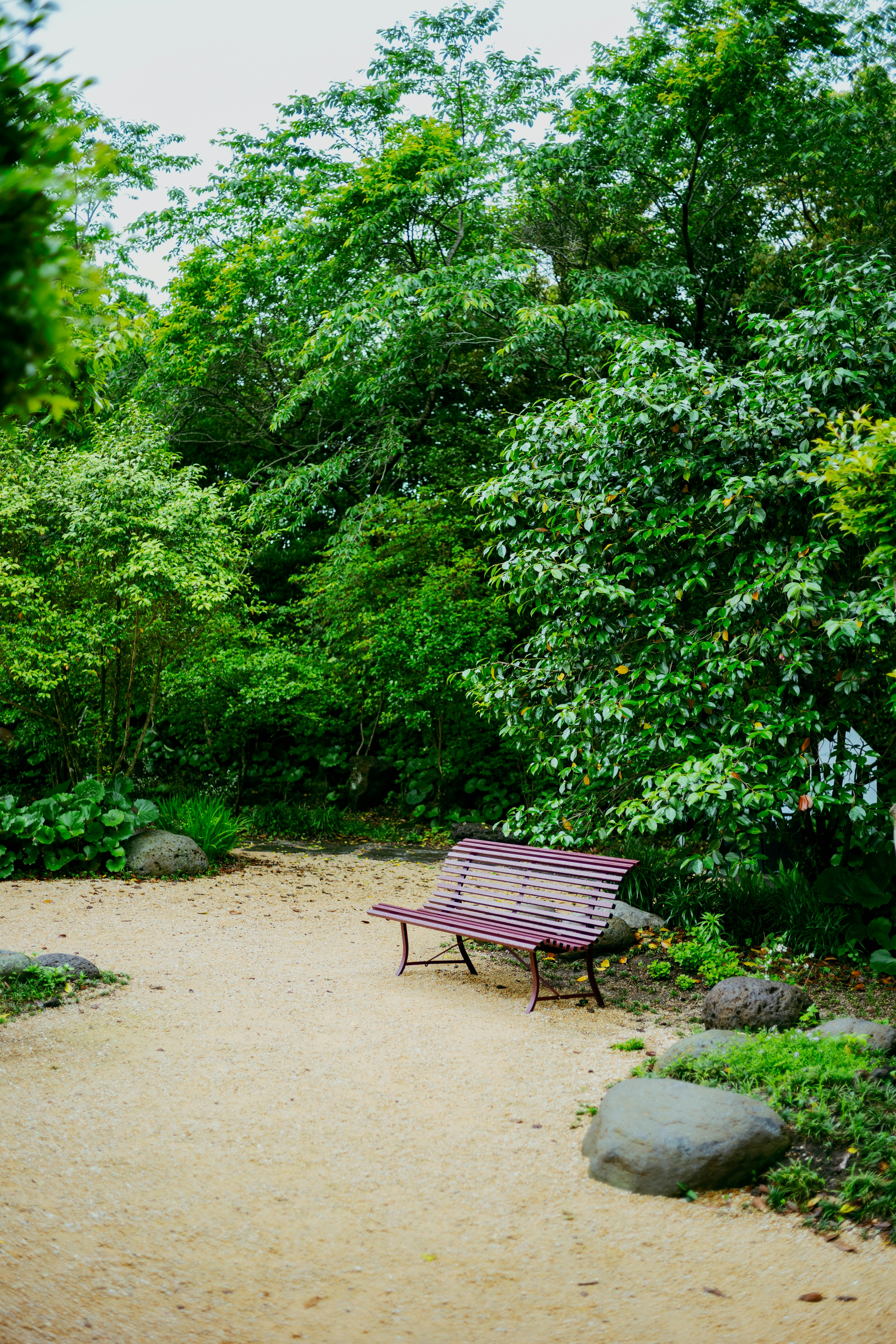 Photo by tommaomaoer