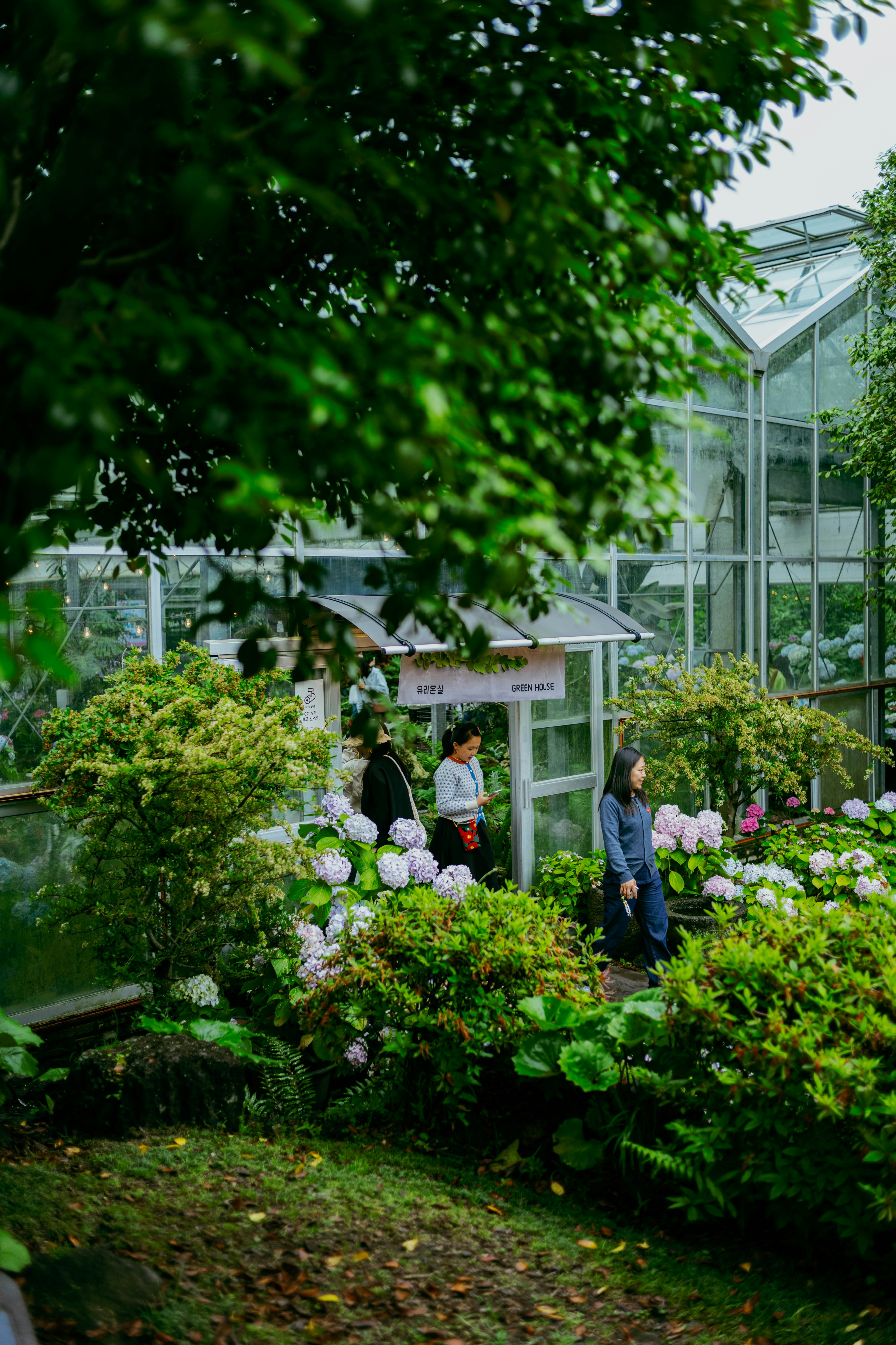 Photo by tommaomaoer