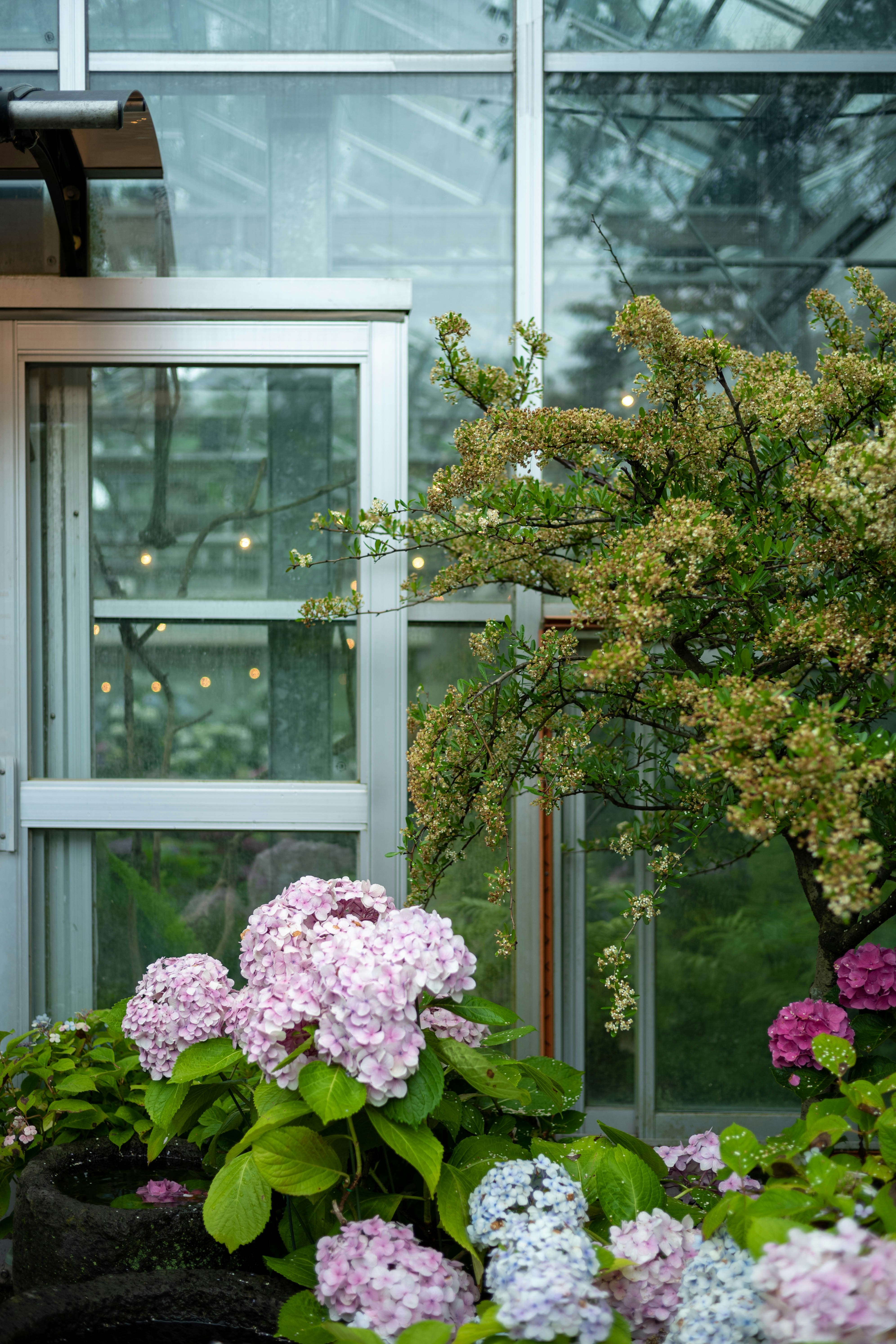 Photo by tommaomaoer