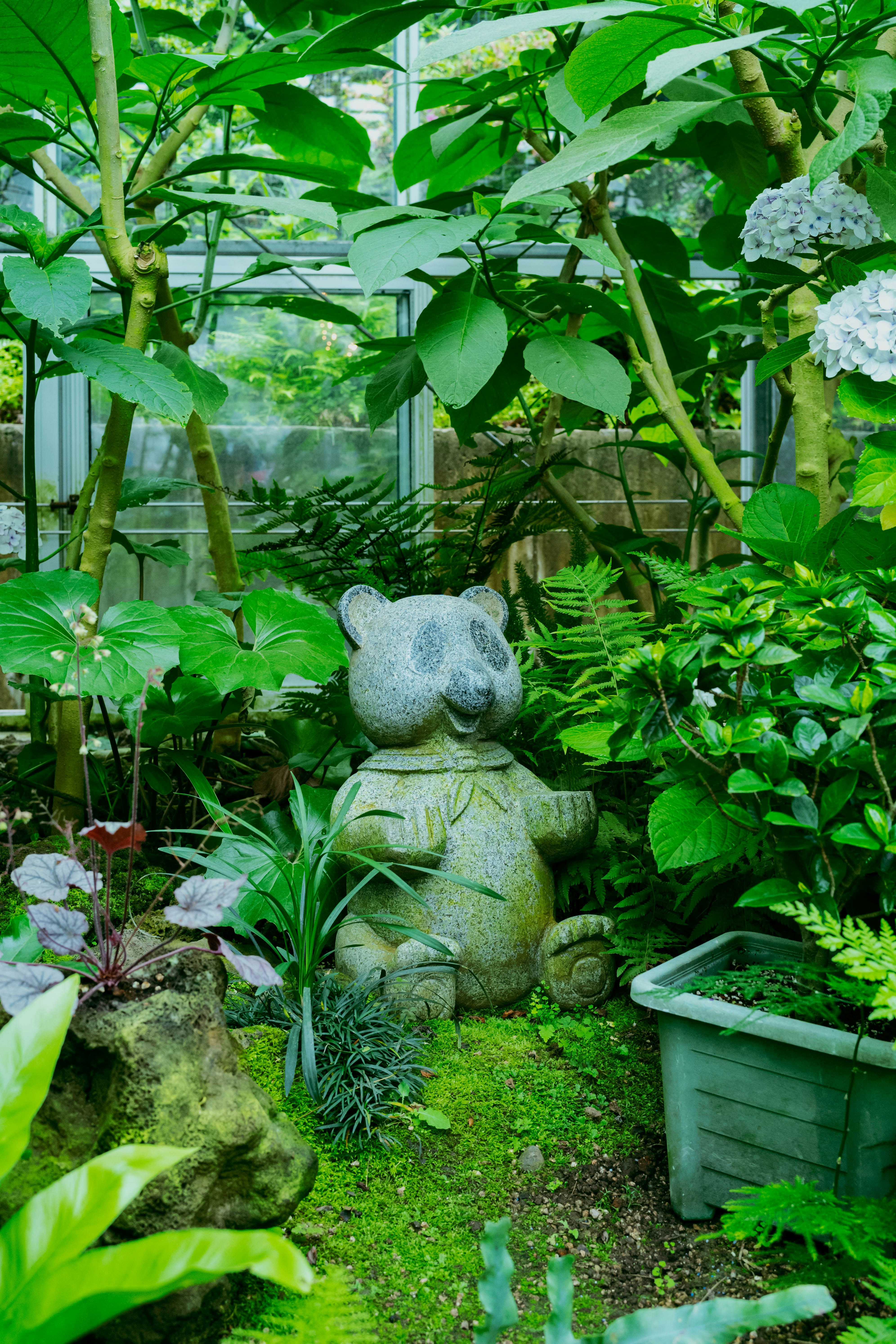 Photo by tommaomaoer