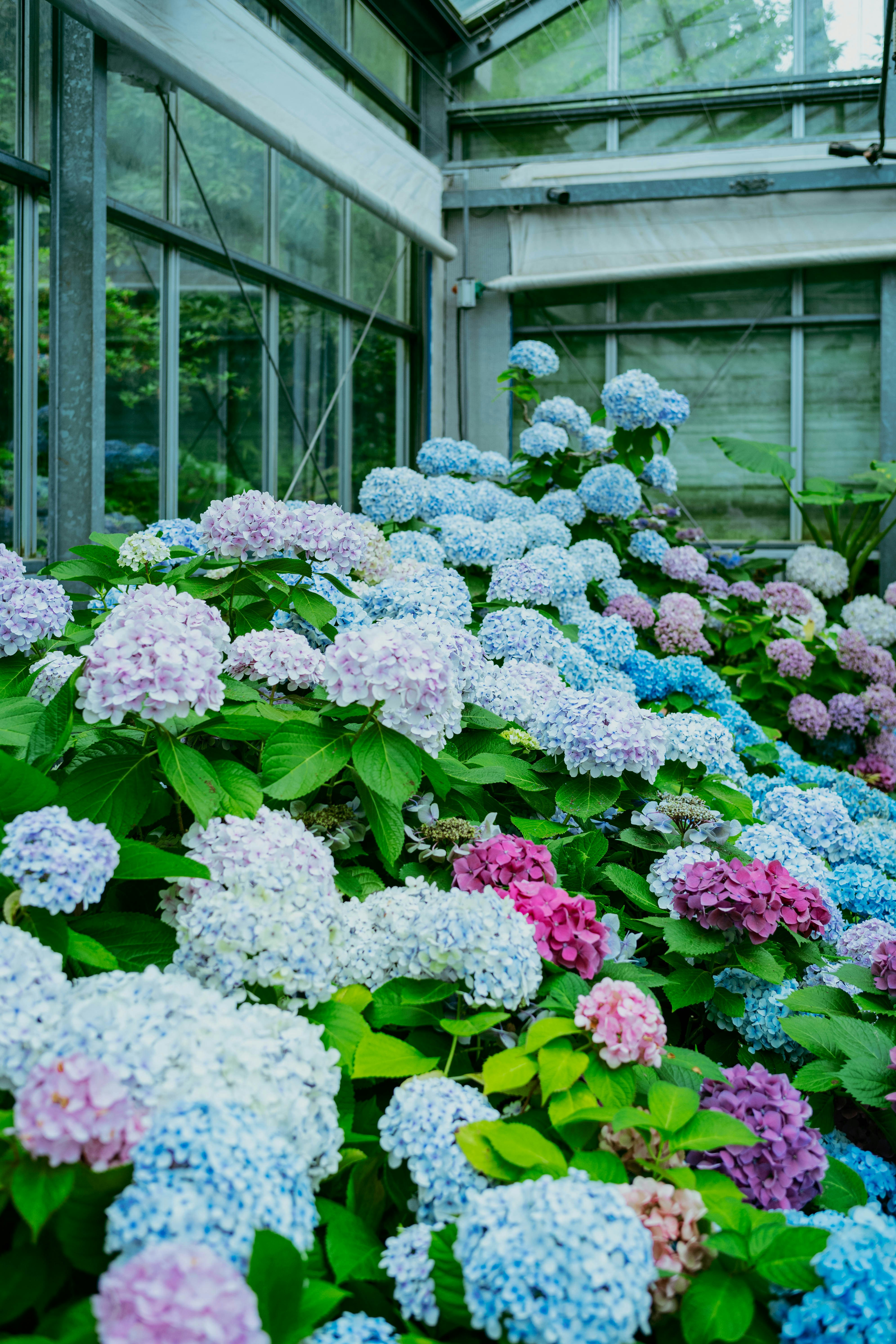 Photo by tommaomaoer