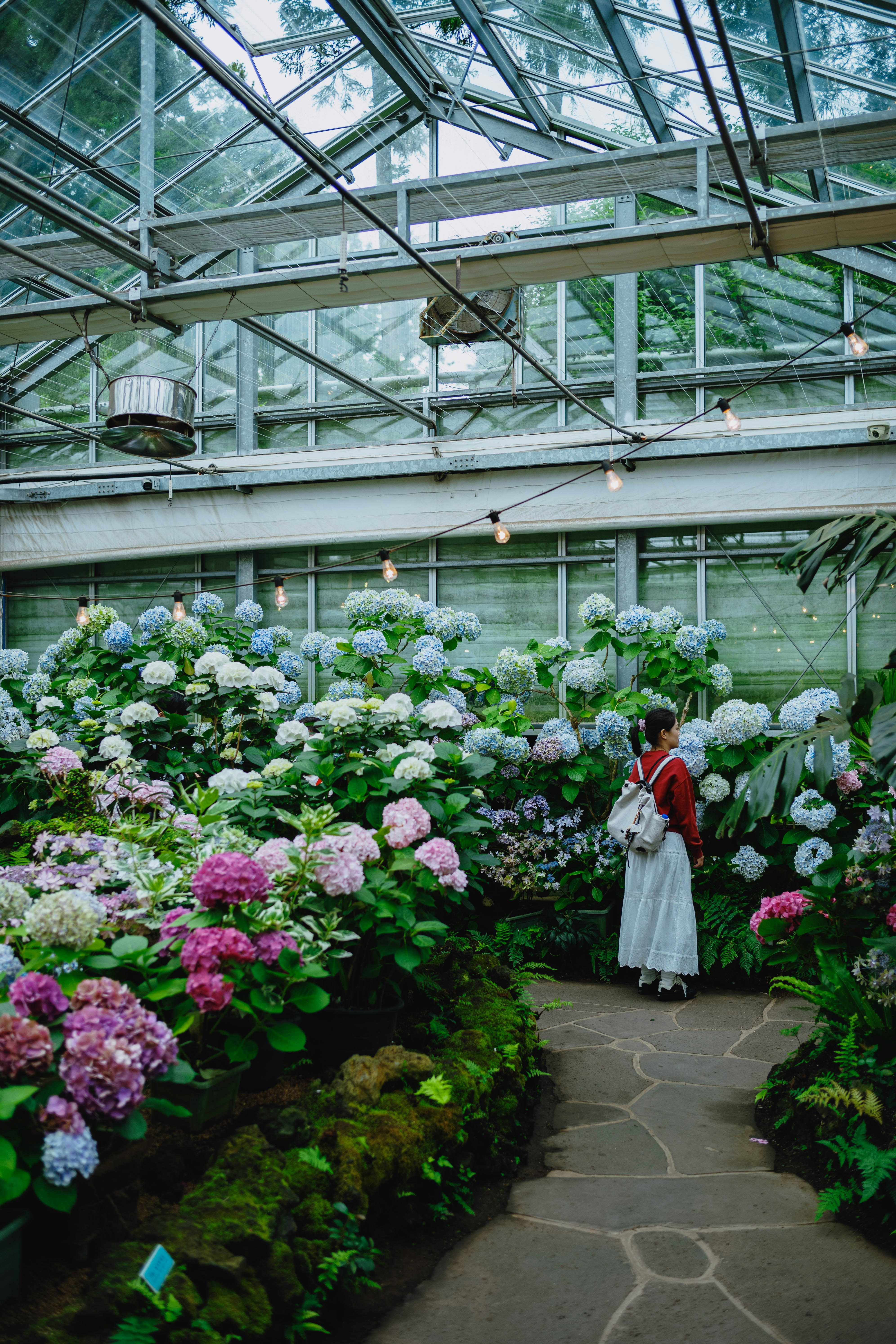 Photo by tommaomaoer