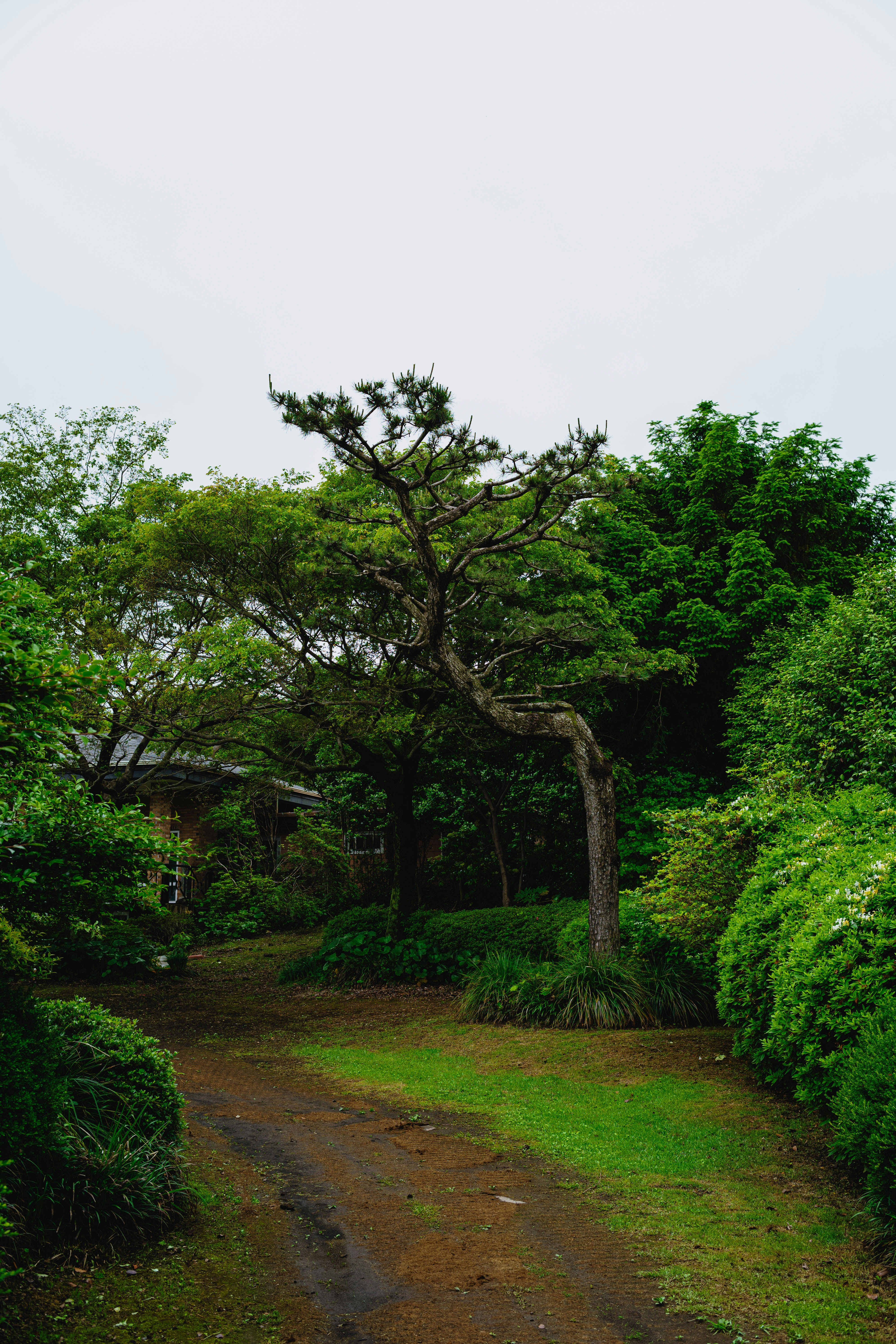 Photo by tommaomaoer