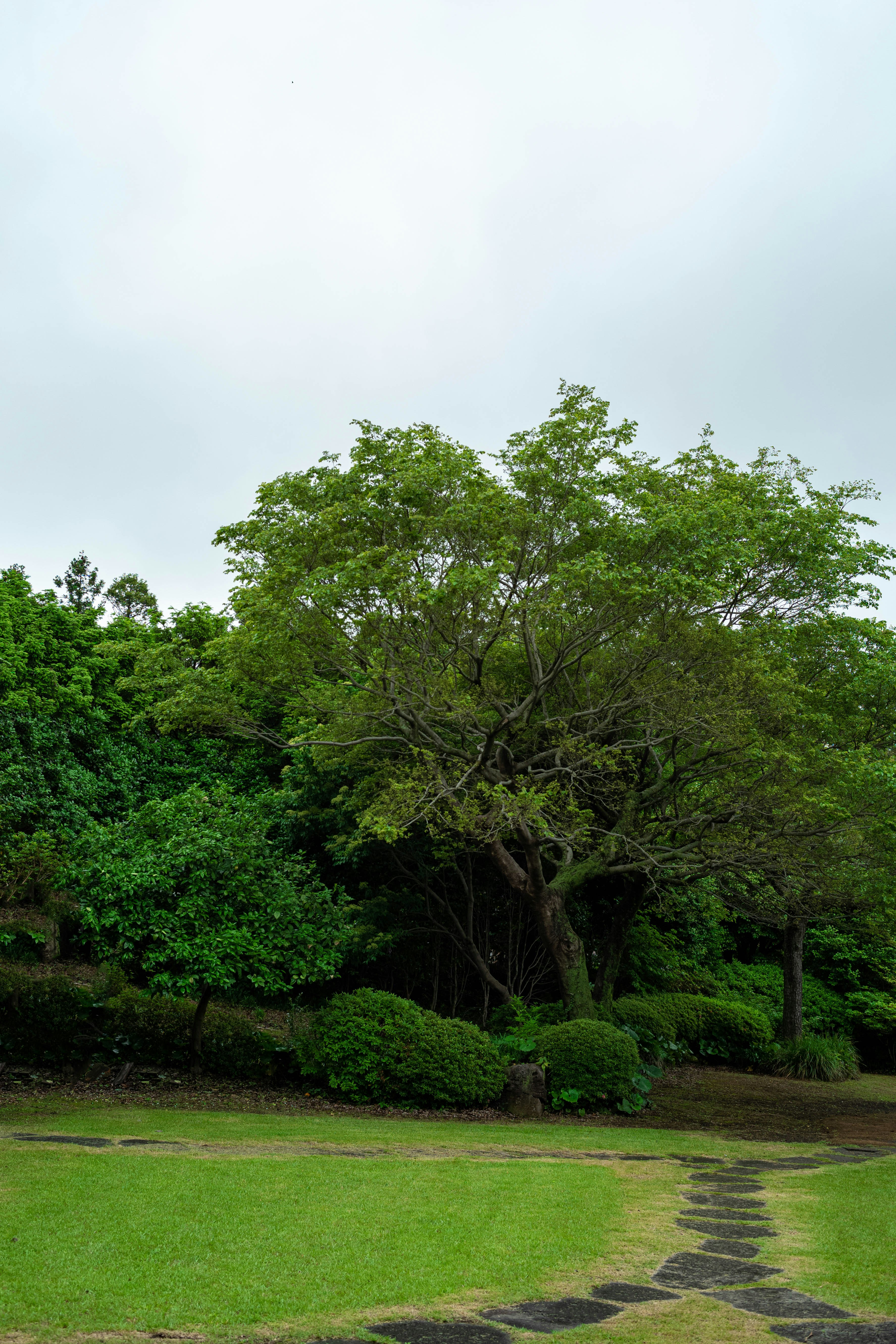 Photo by tommaomaoer