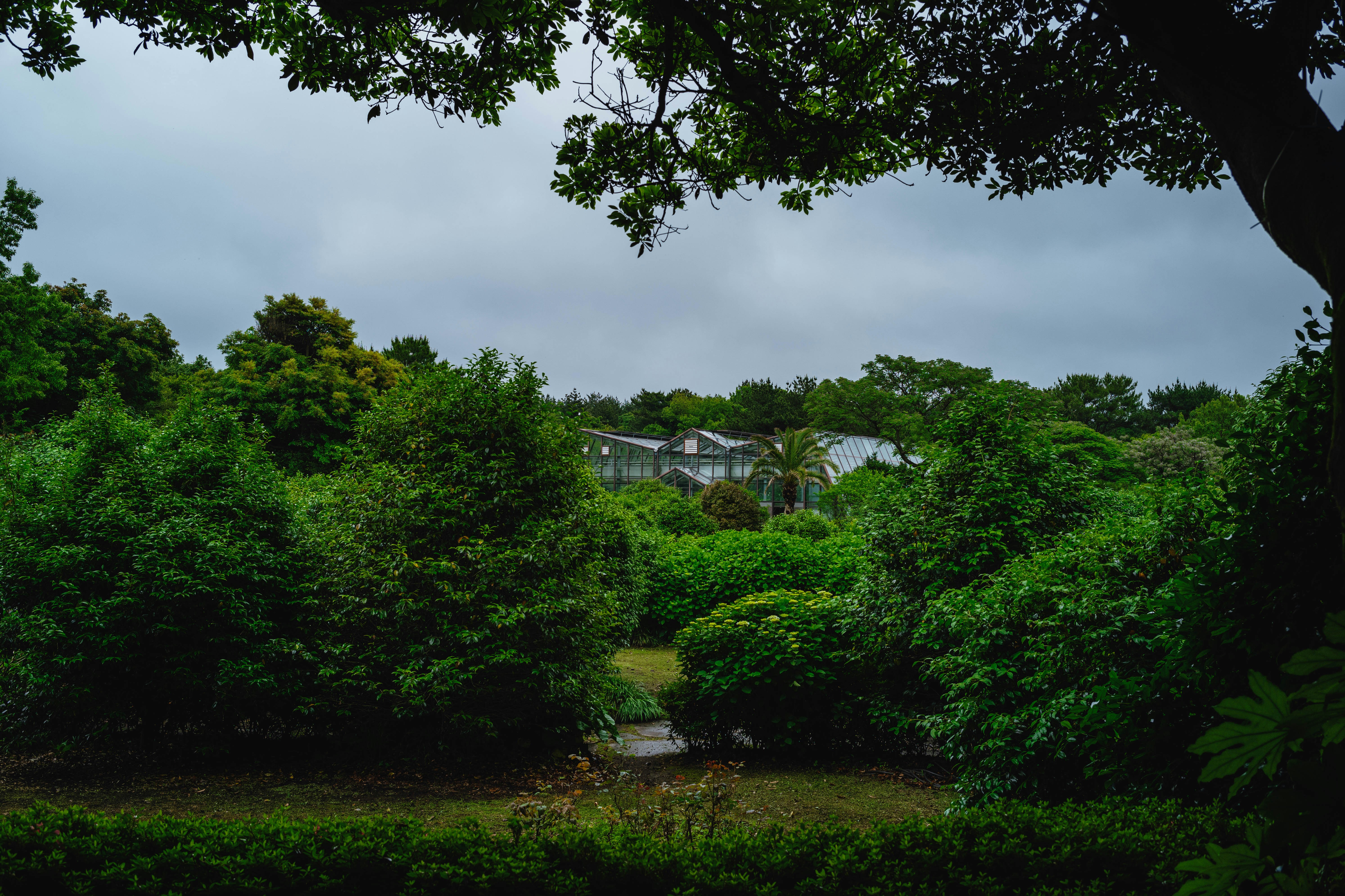 Photo by tommaomaoer