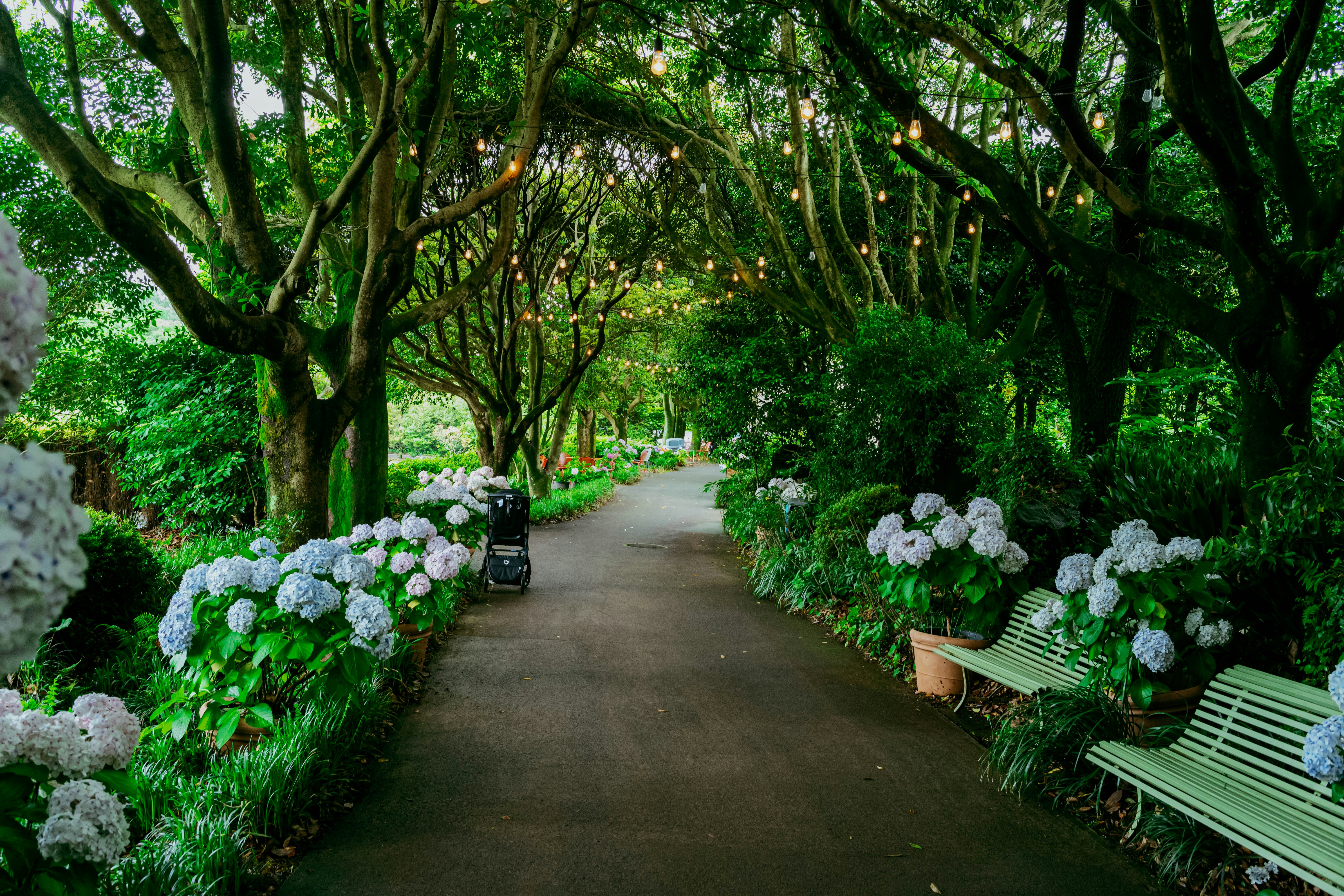 Photo by tommaomaoer