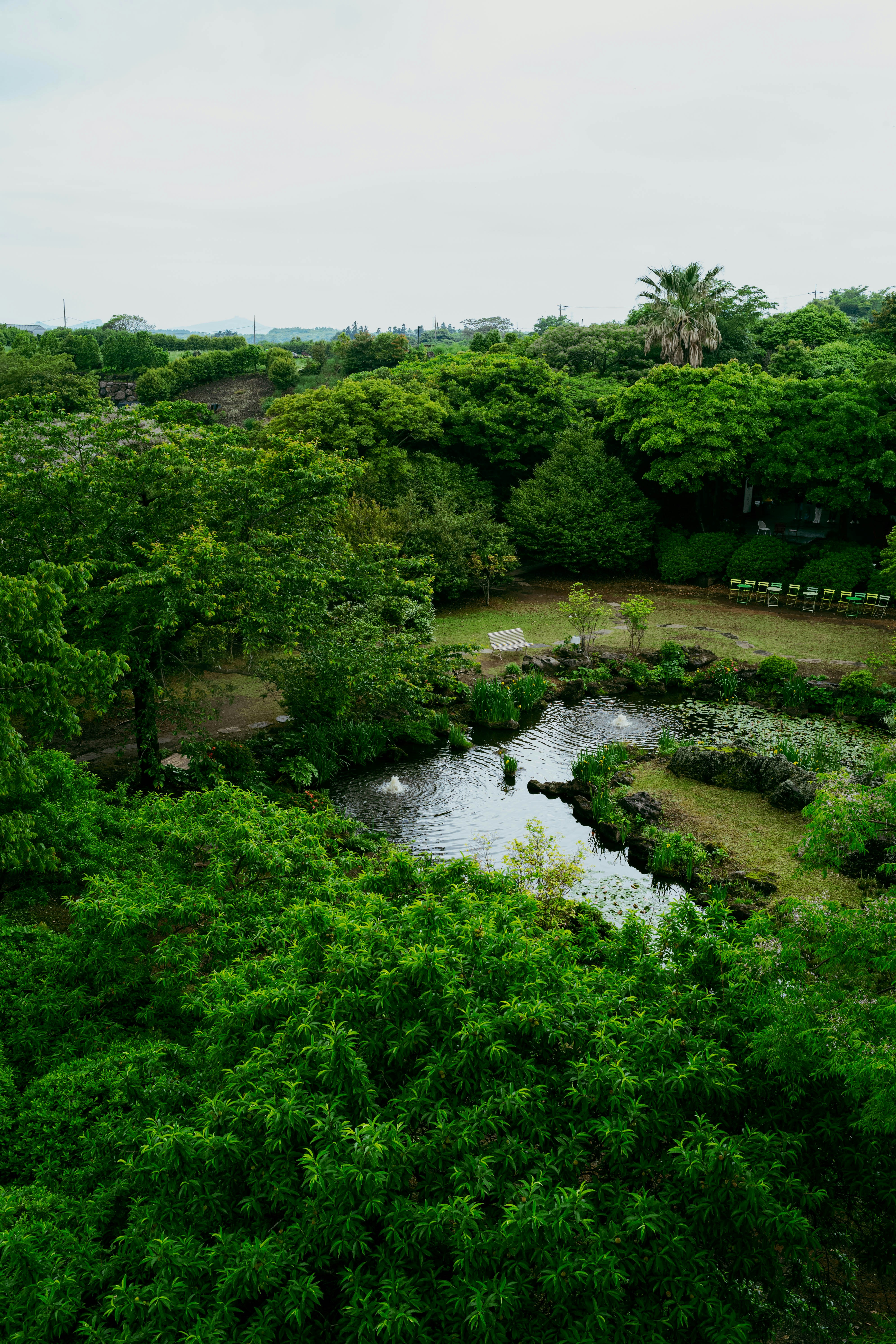 Photo by tommaomaoer