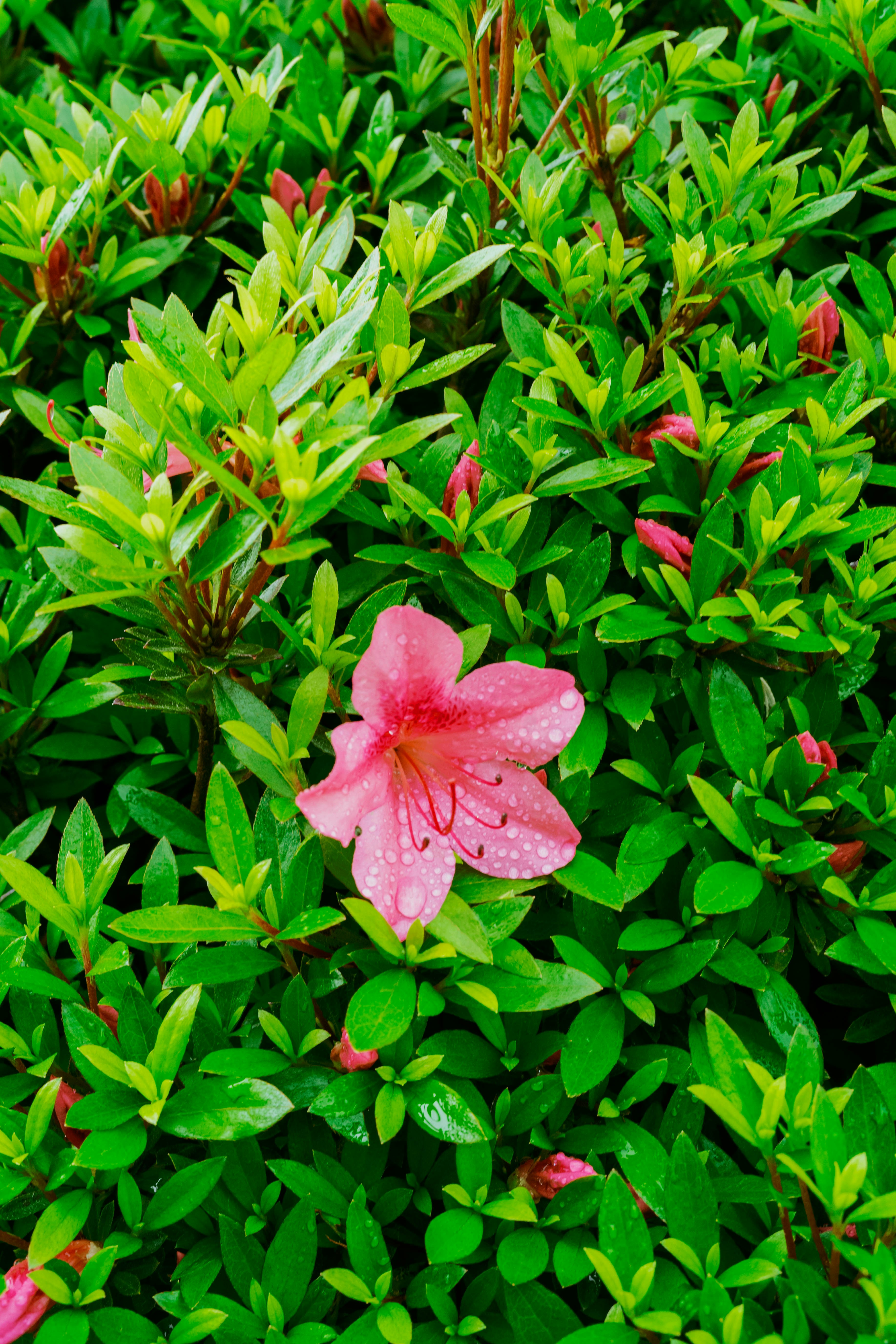 Photo by tommaomaoer