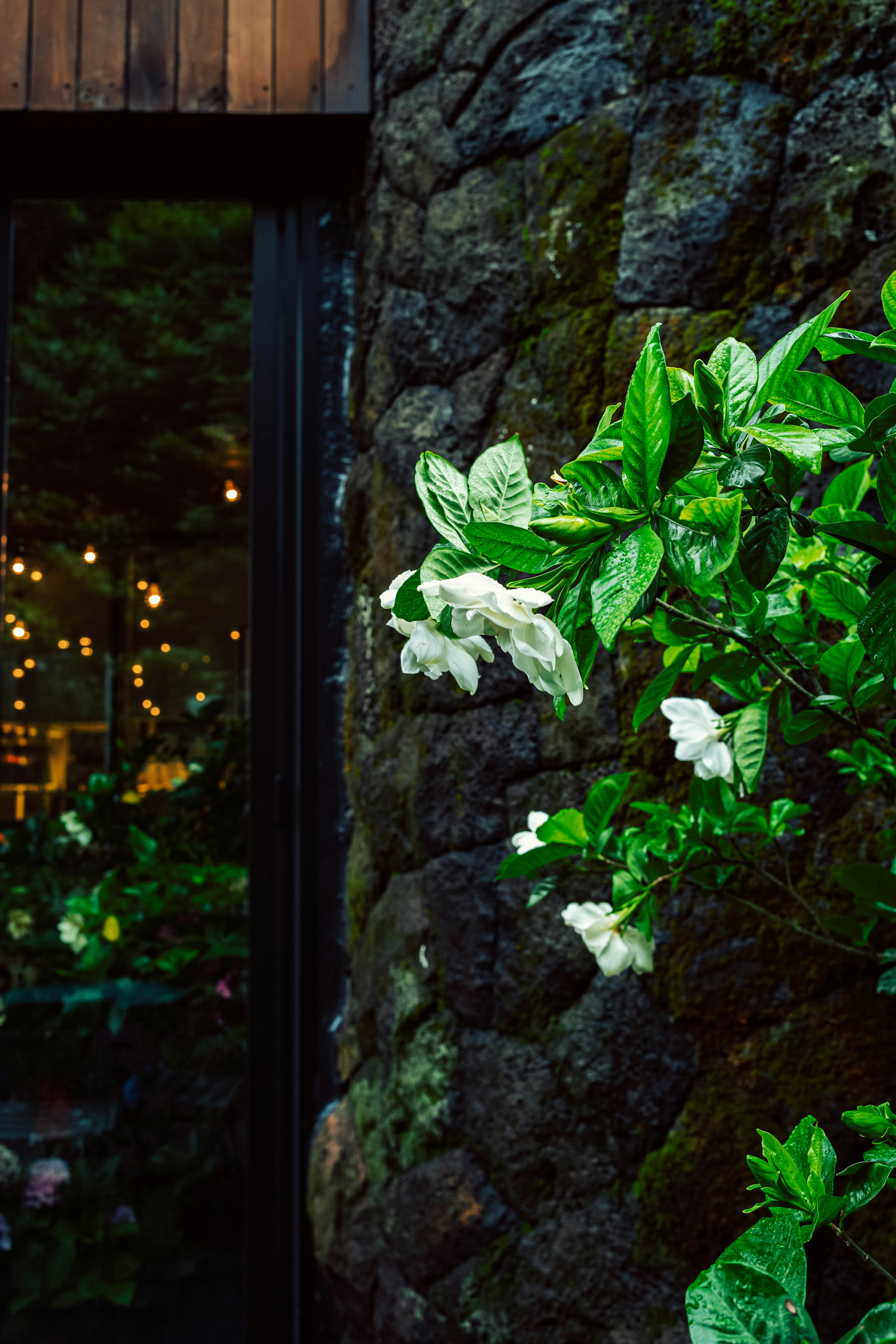 Photo by tommaomaoer