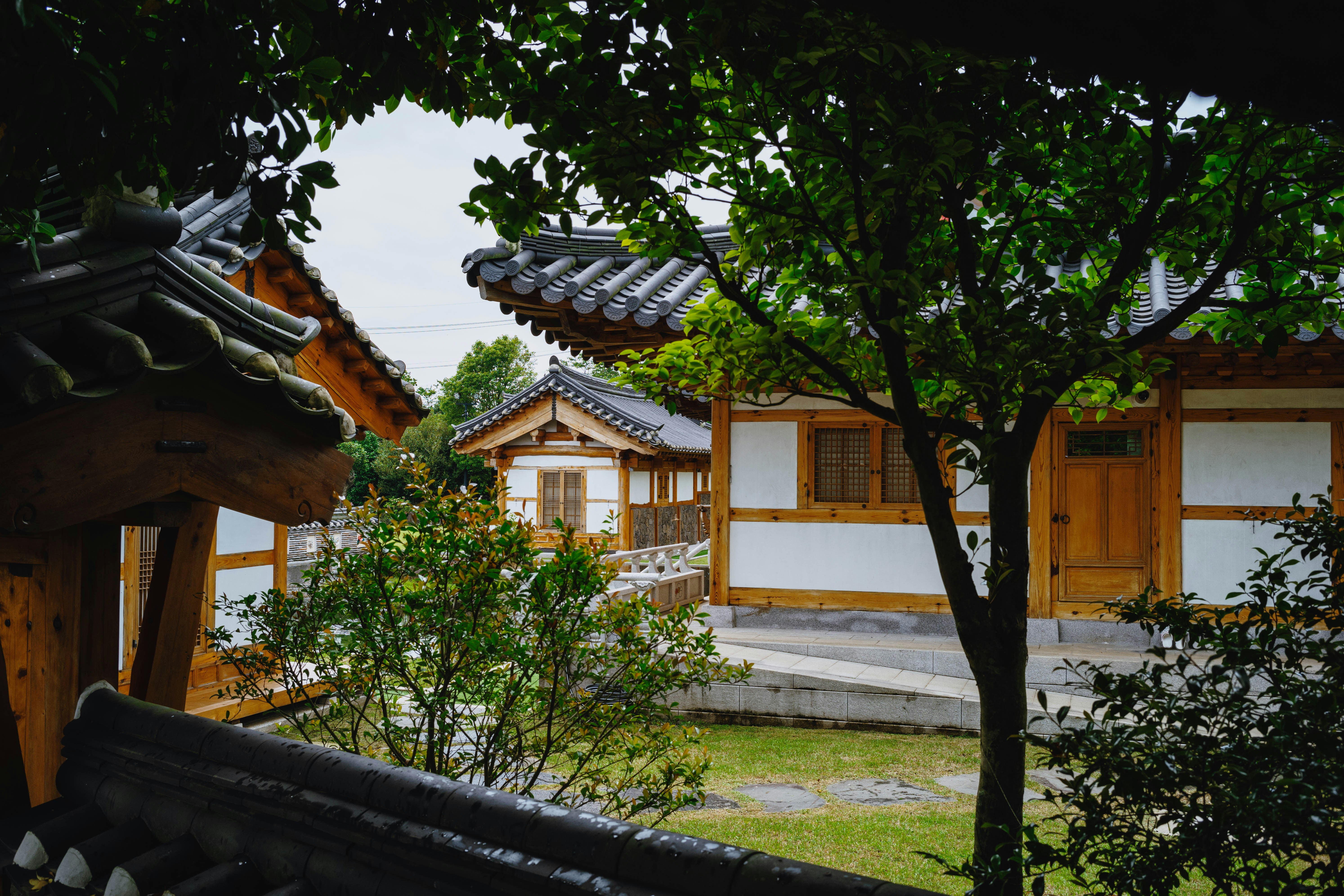 Photo by tommaomaoer