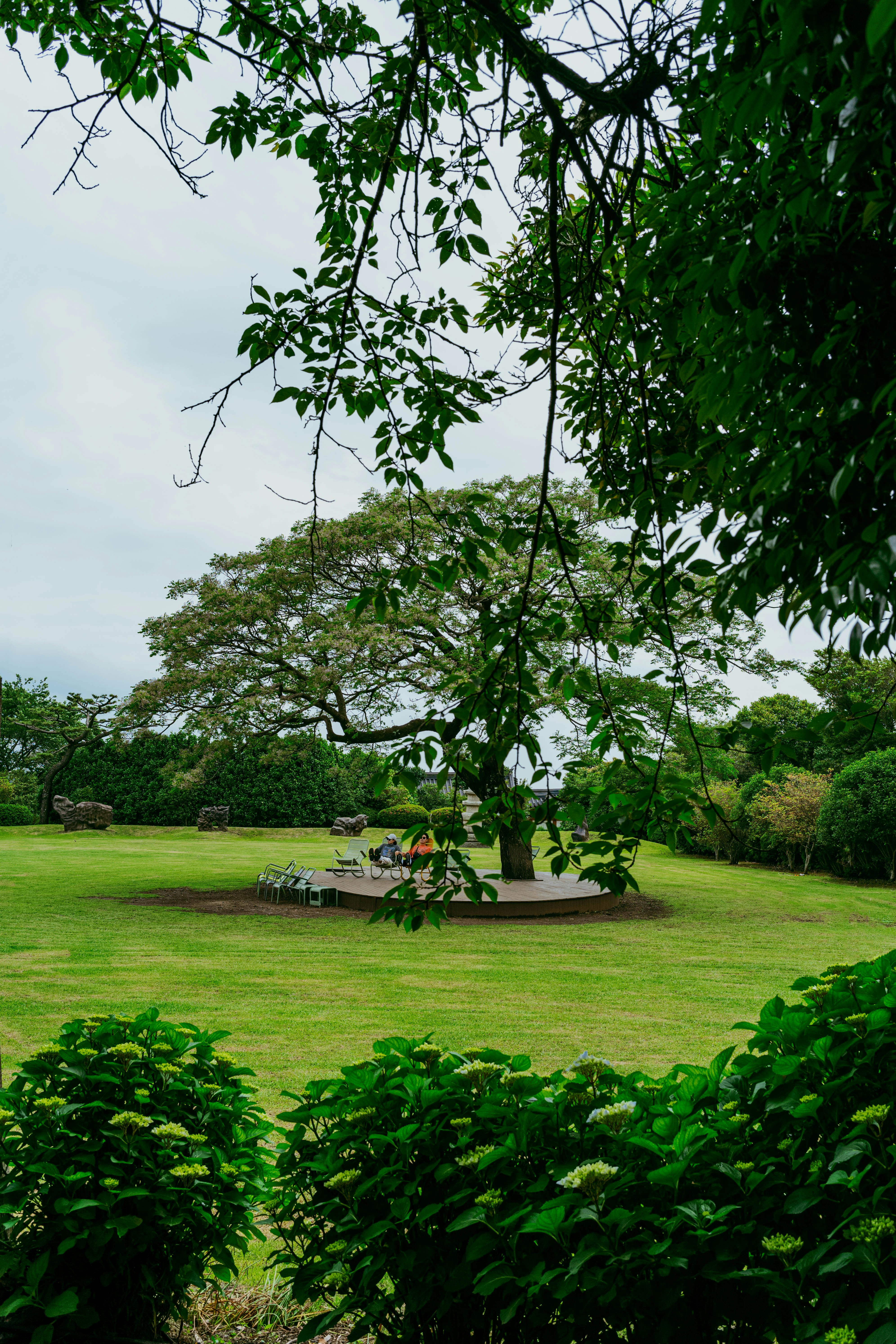 Photo by tommaomaoer