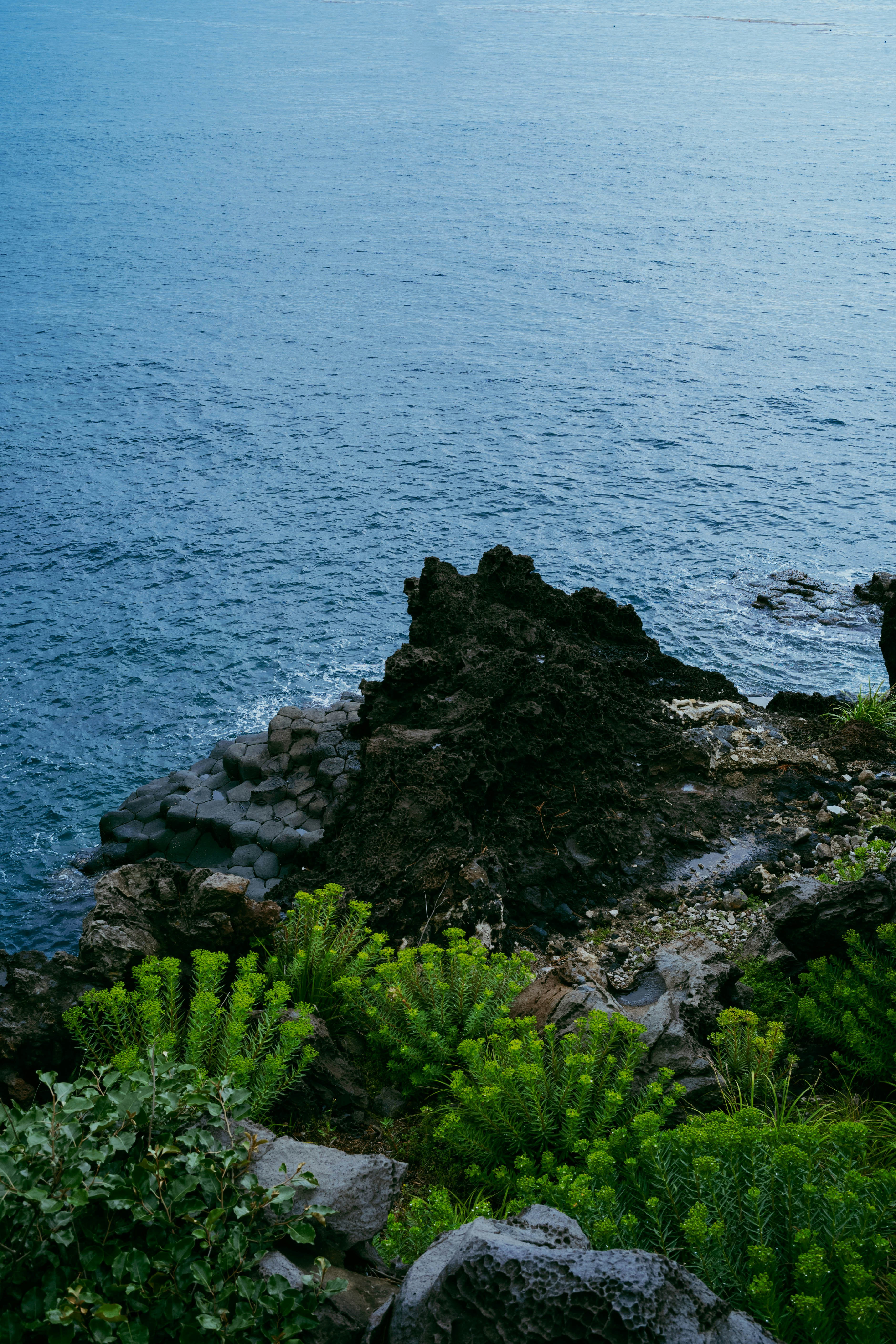 Photo by tommaomaoer