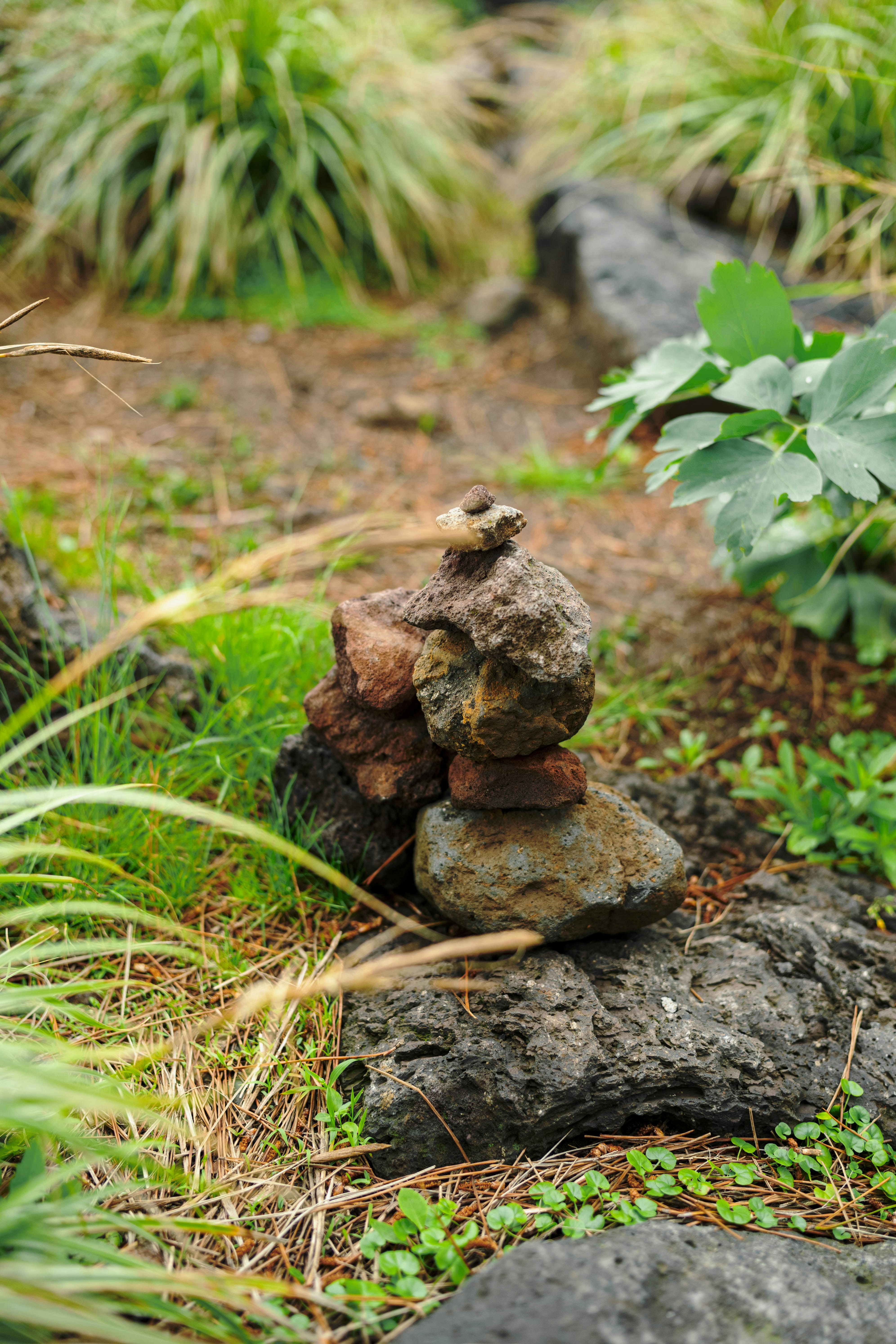 Photo by tommaomaoer