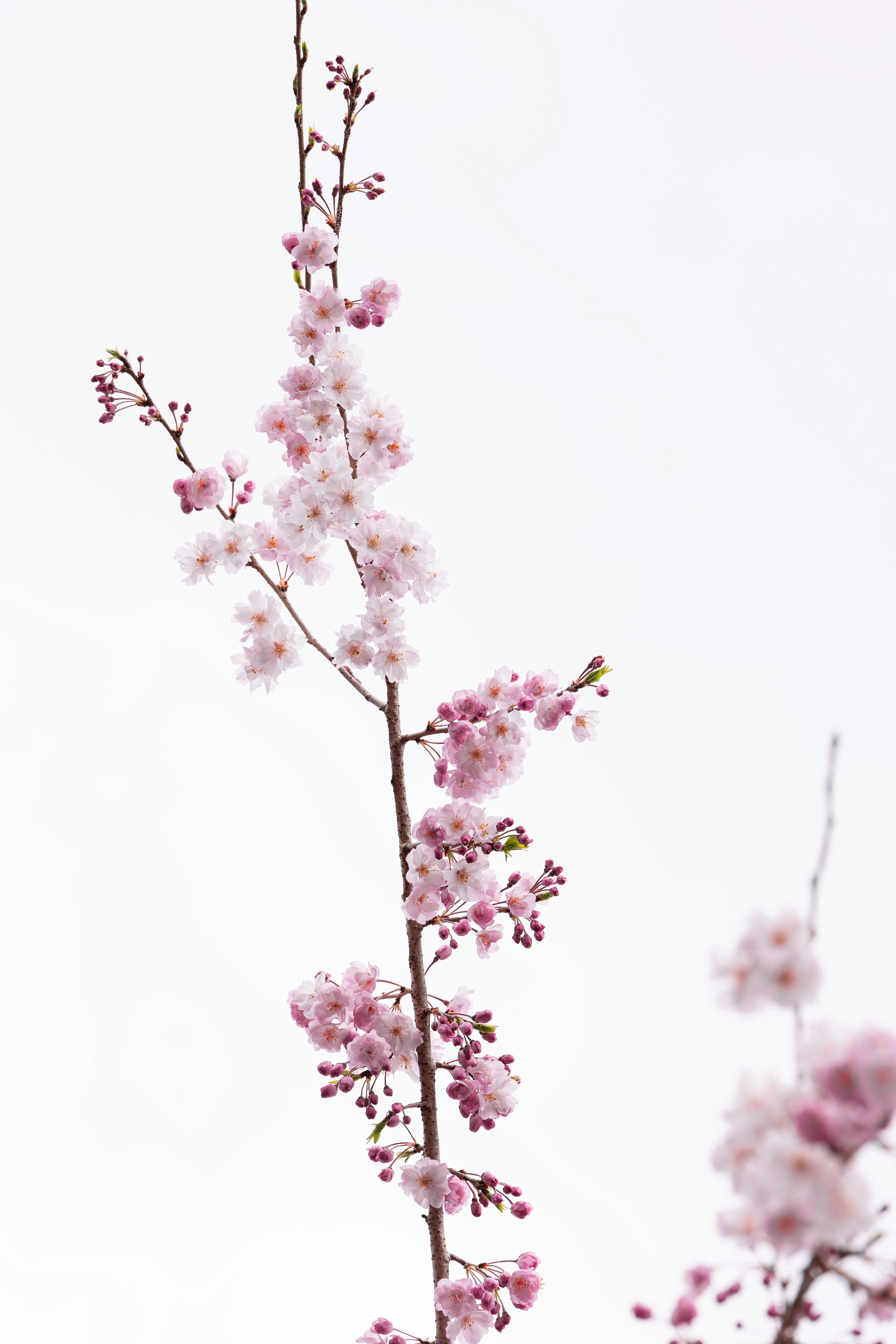 Photo by wenhao_ruan