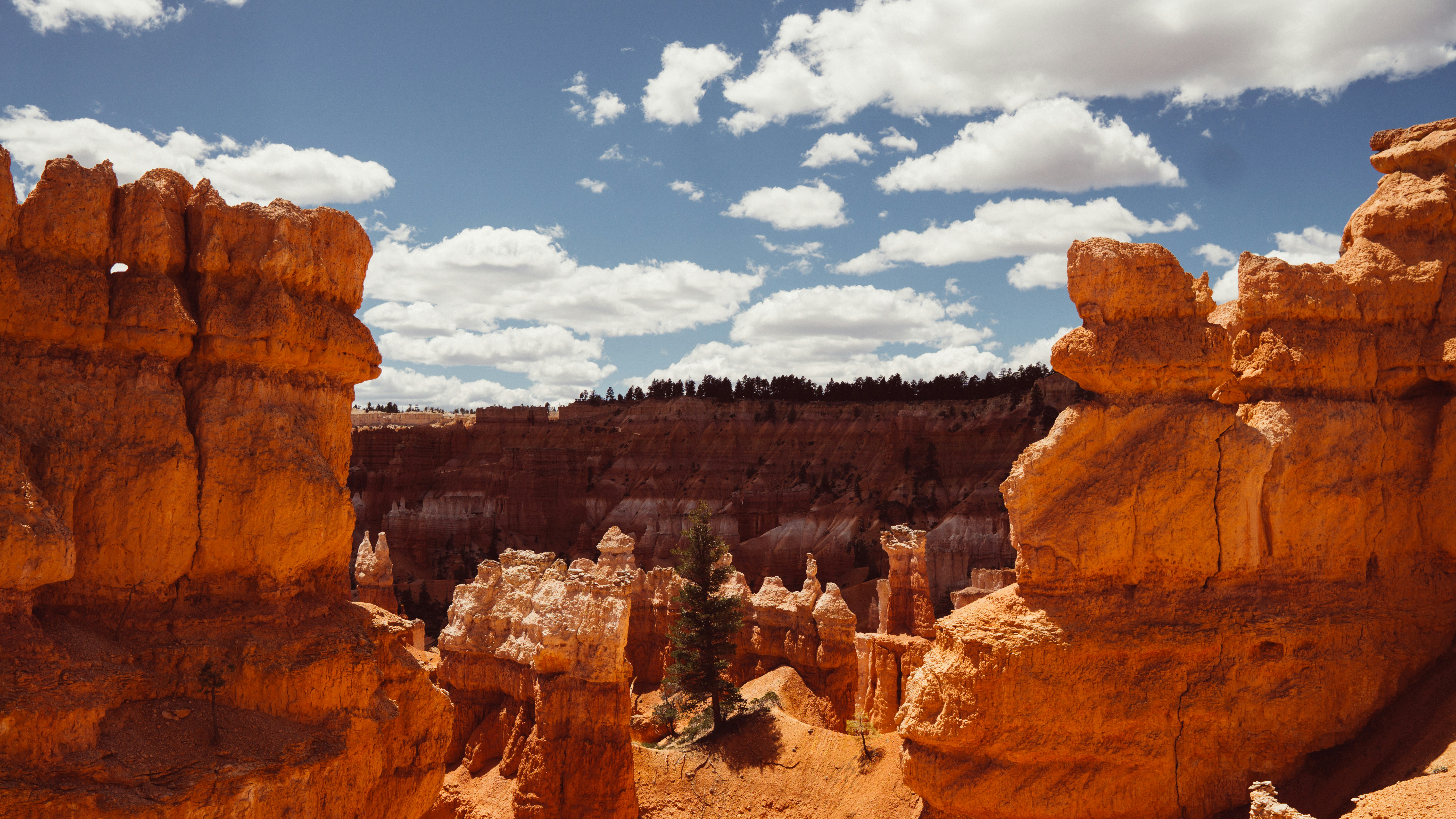 Photo by csolorzanoe