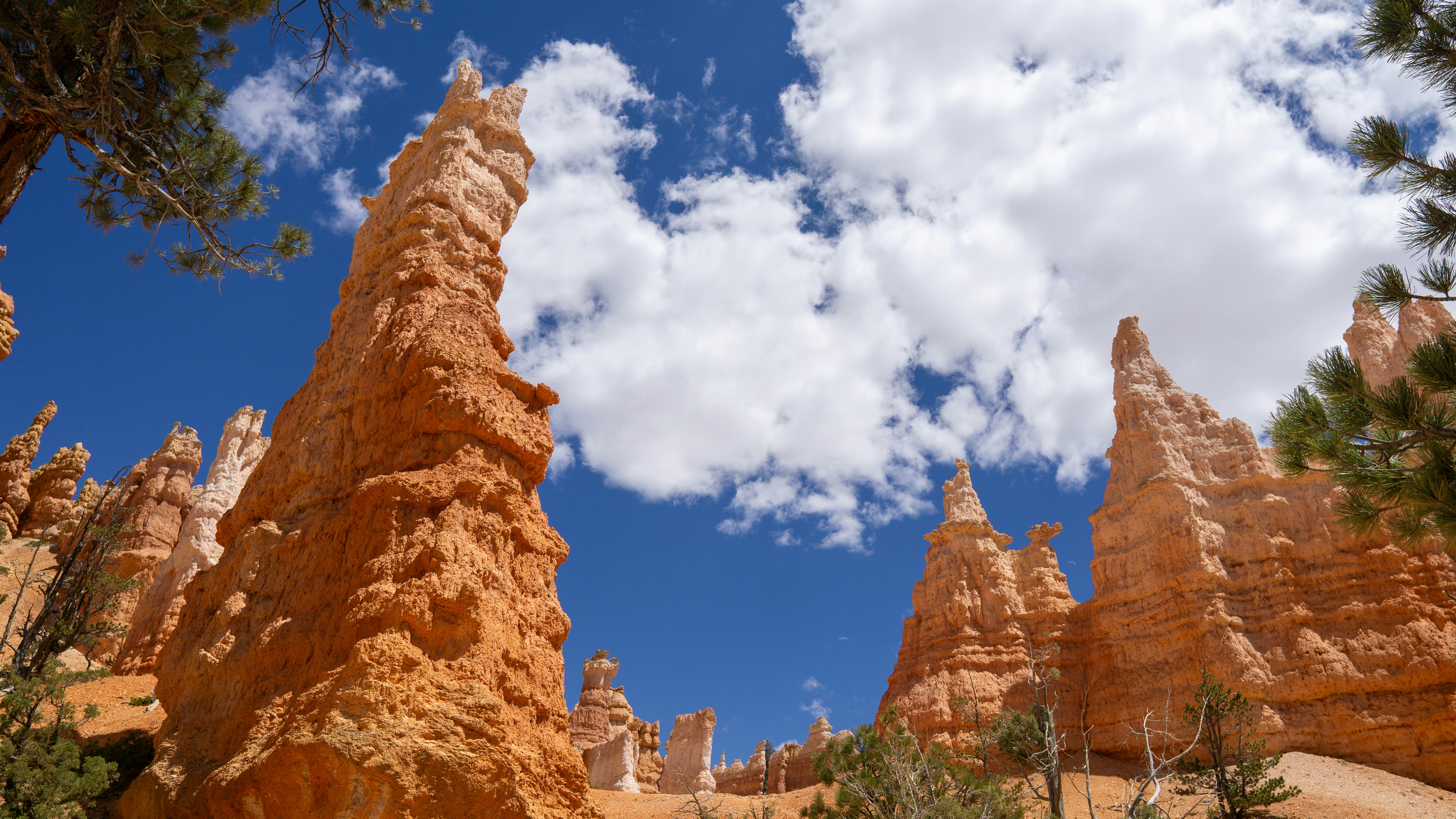 Photo by csolorzanoe