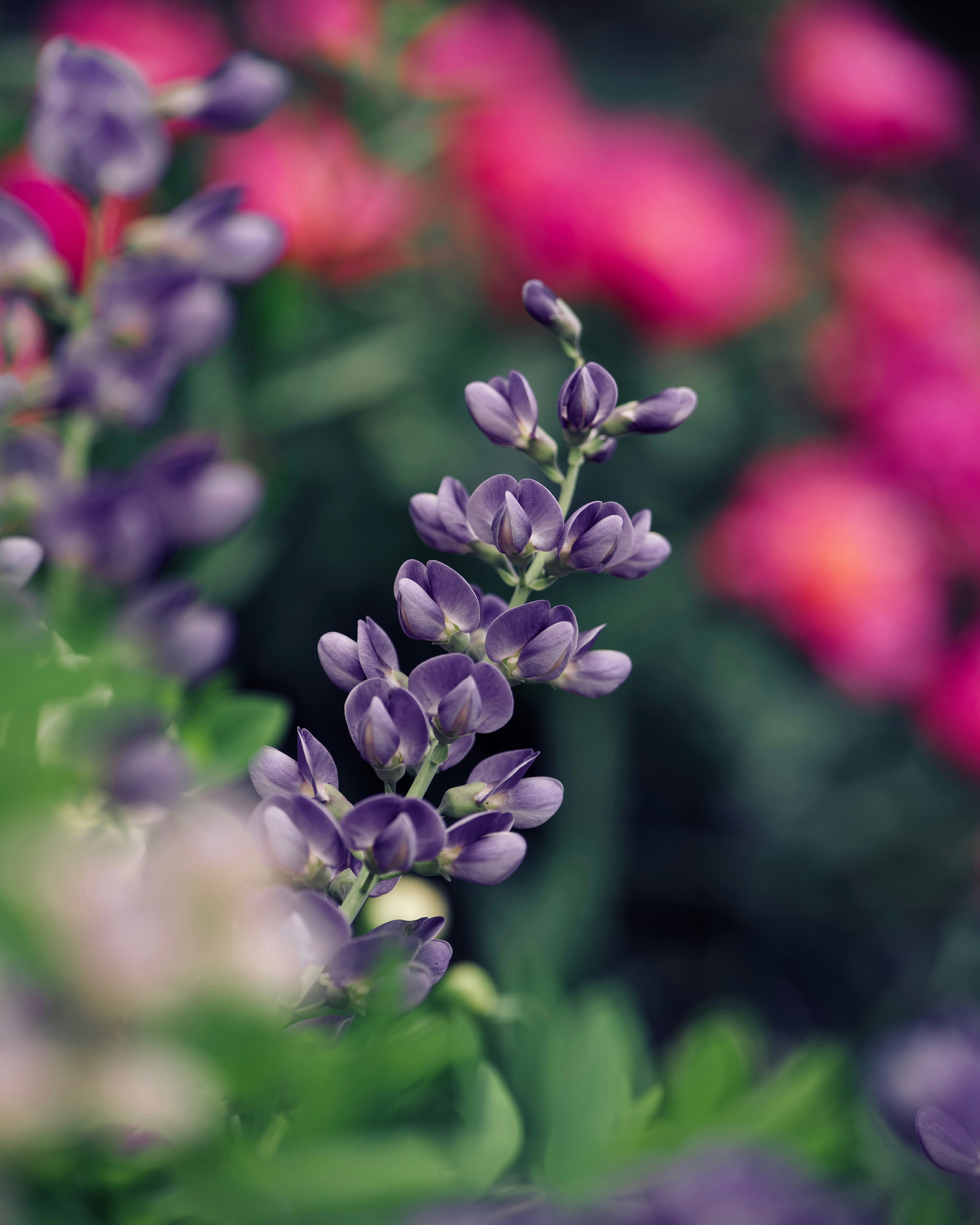 Photo by aaronburden