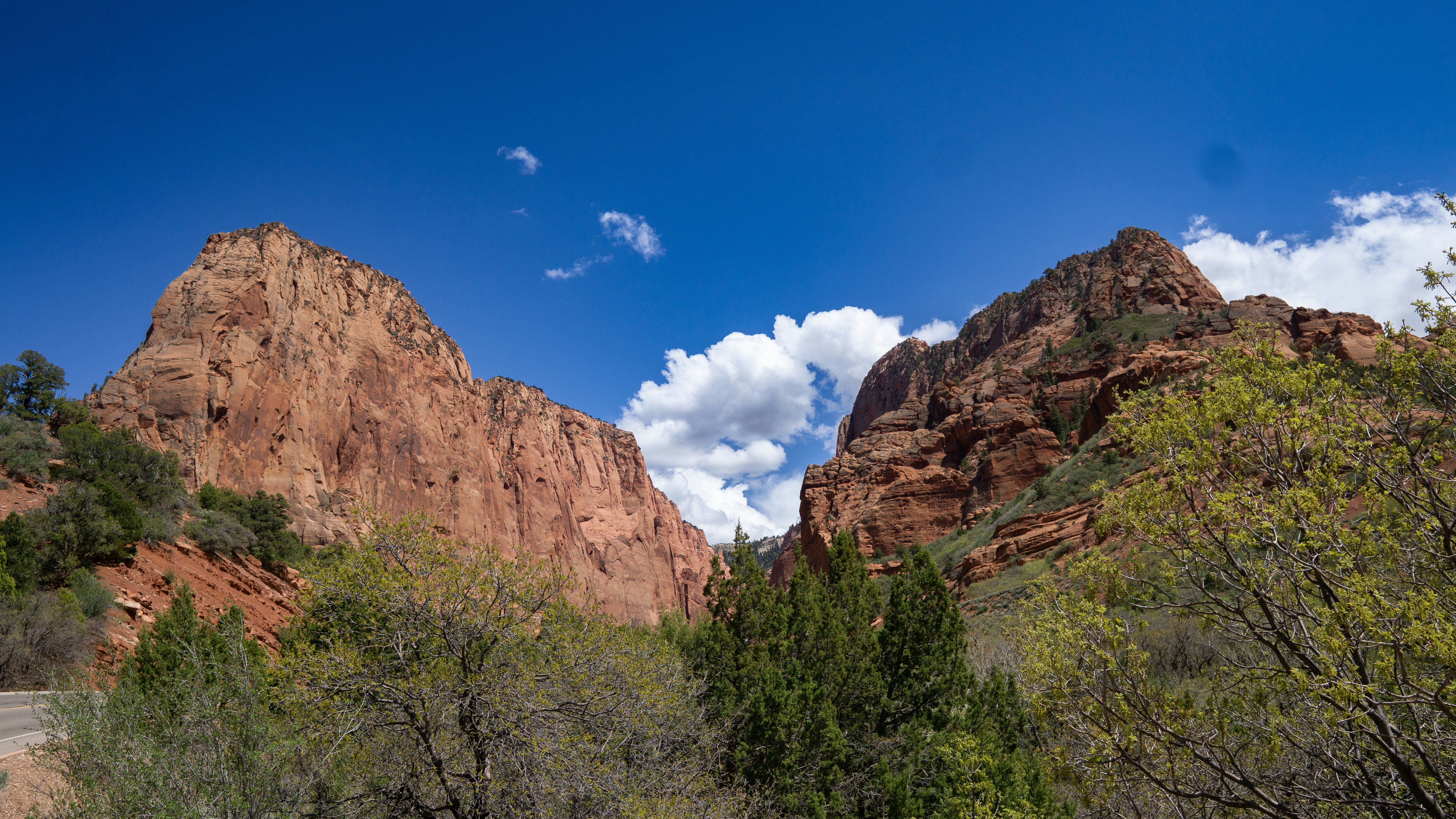 Photo by csolorzanoe