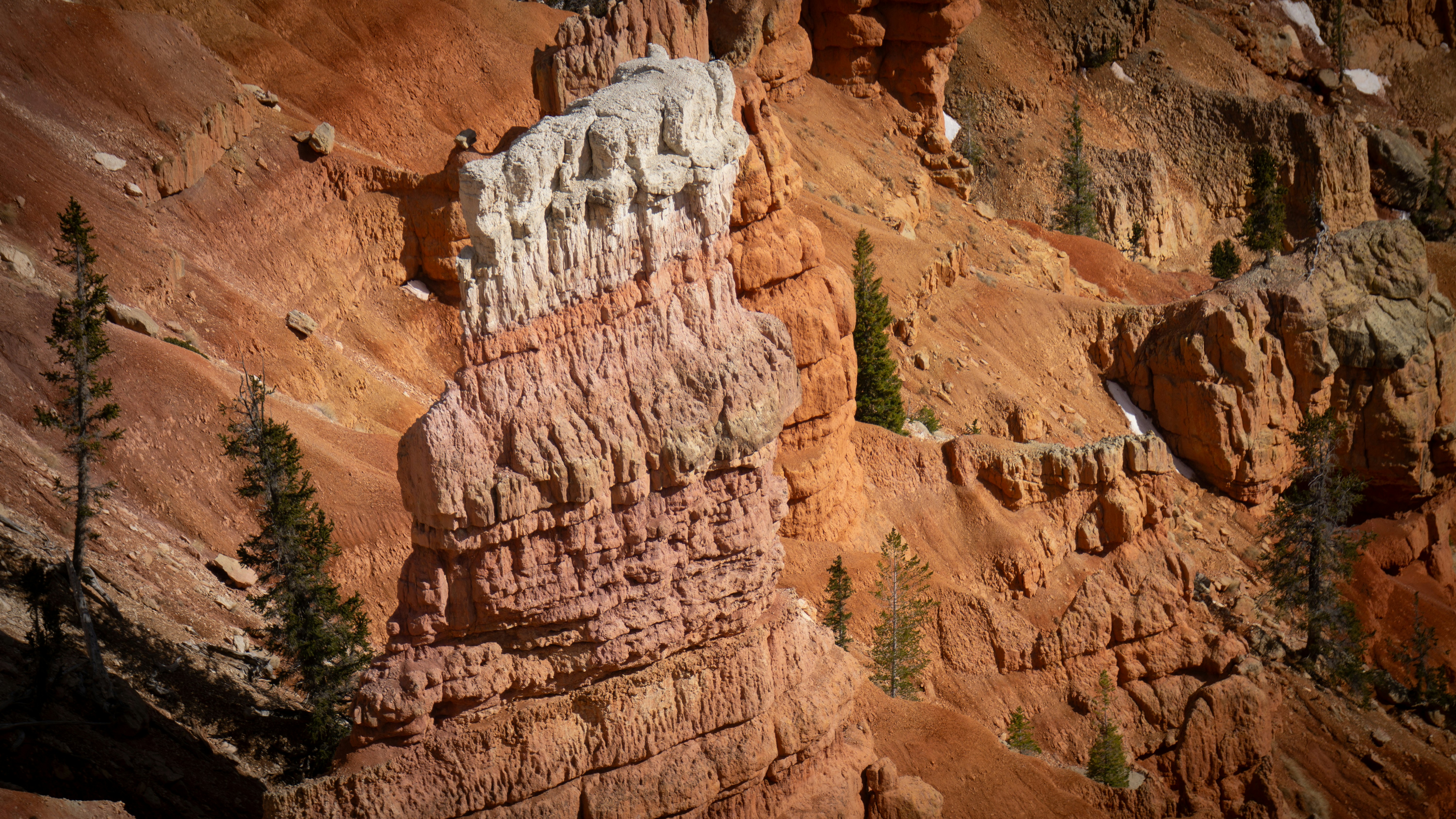 Red rock formations tower over a canyon.