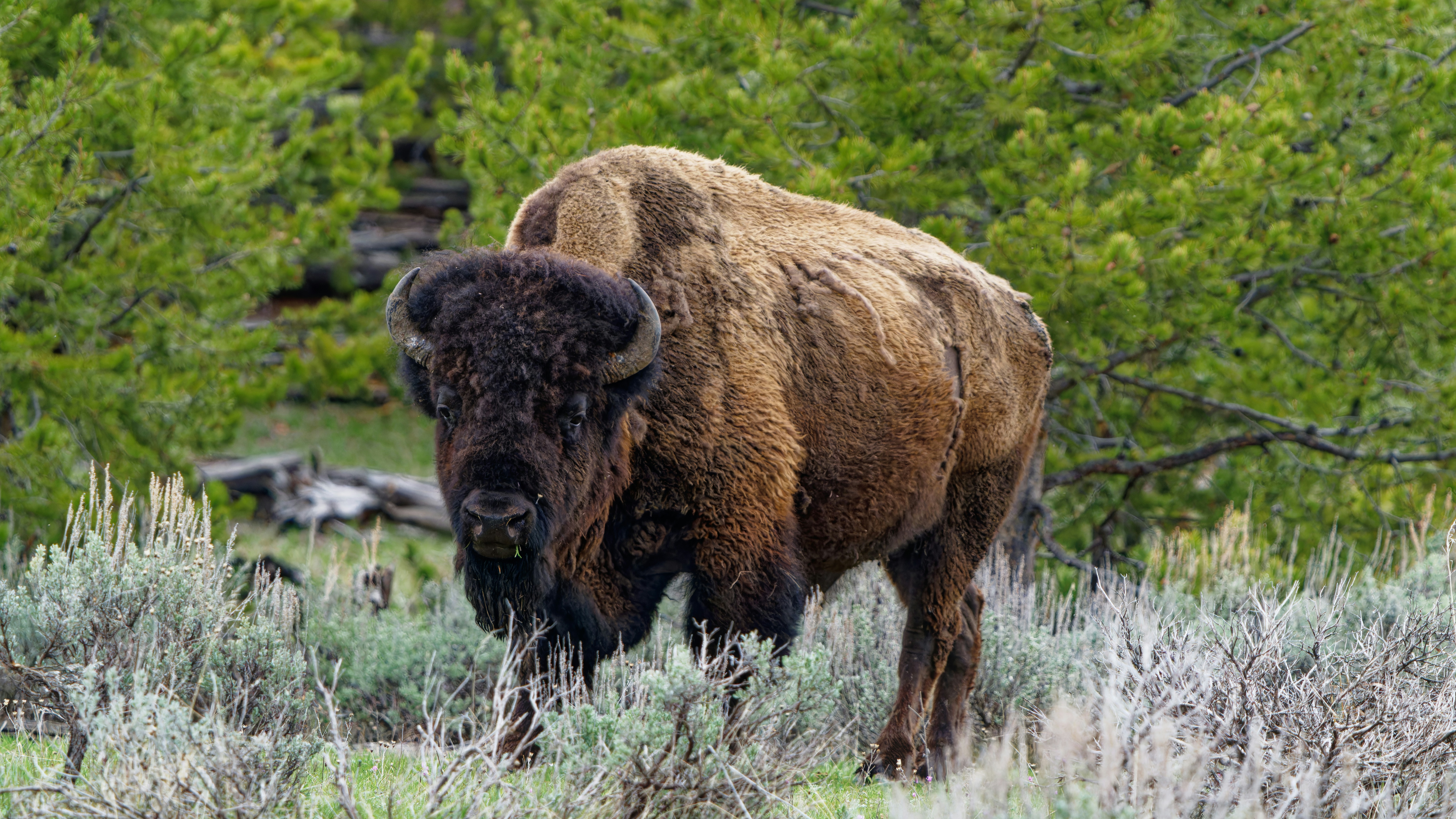 Photo by patrickbigelow_zoom_in