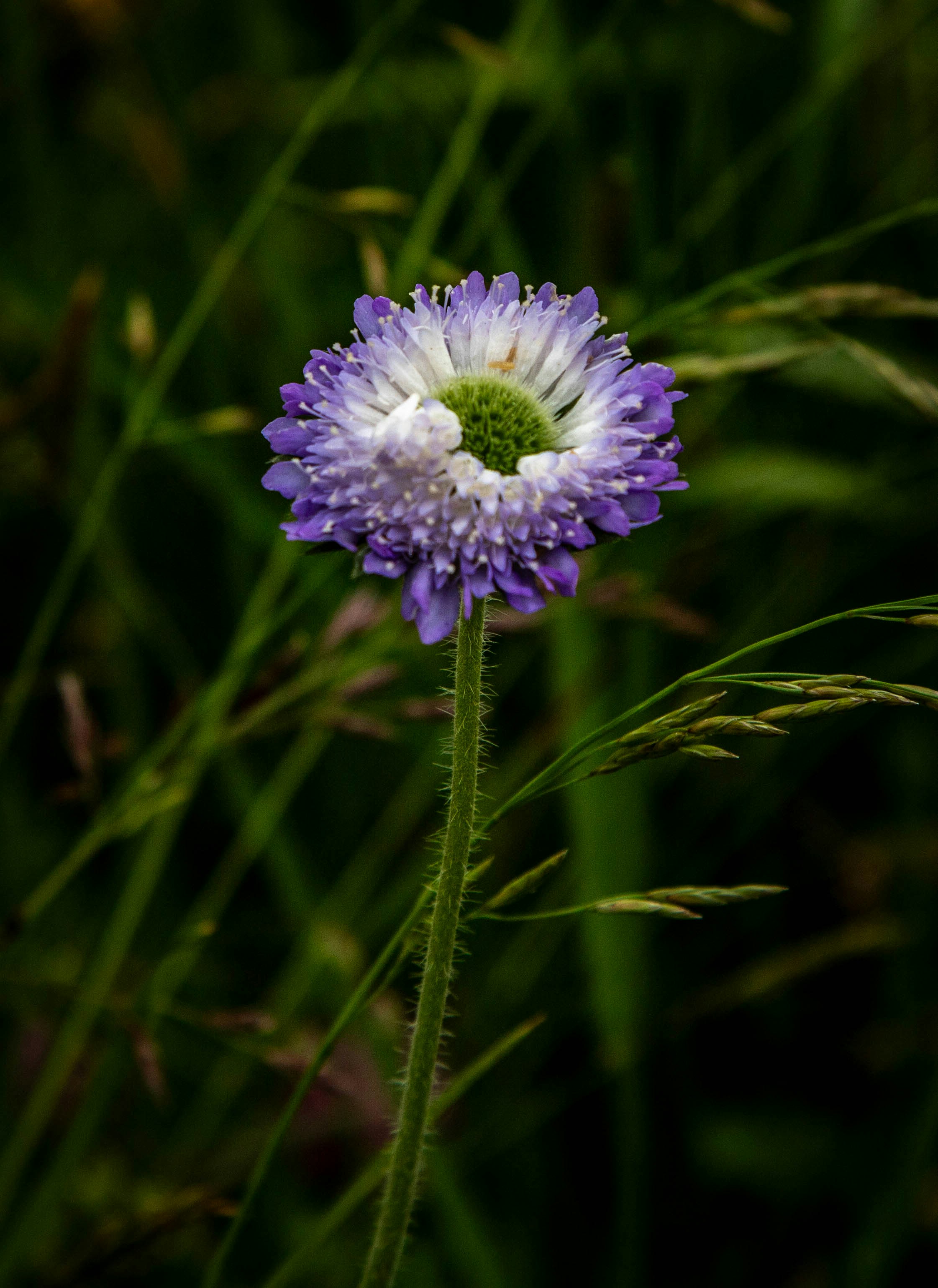 Photo by hdbernd