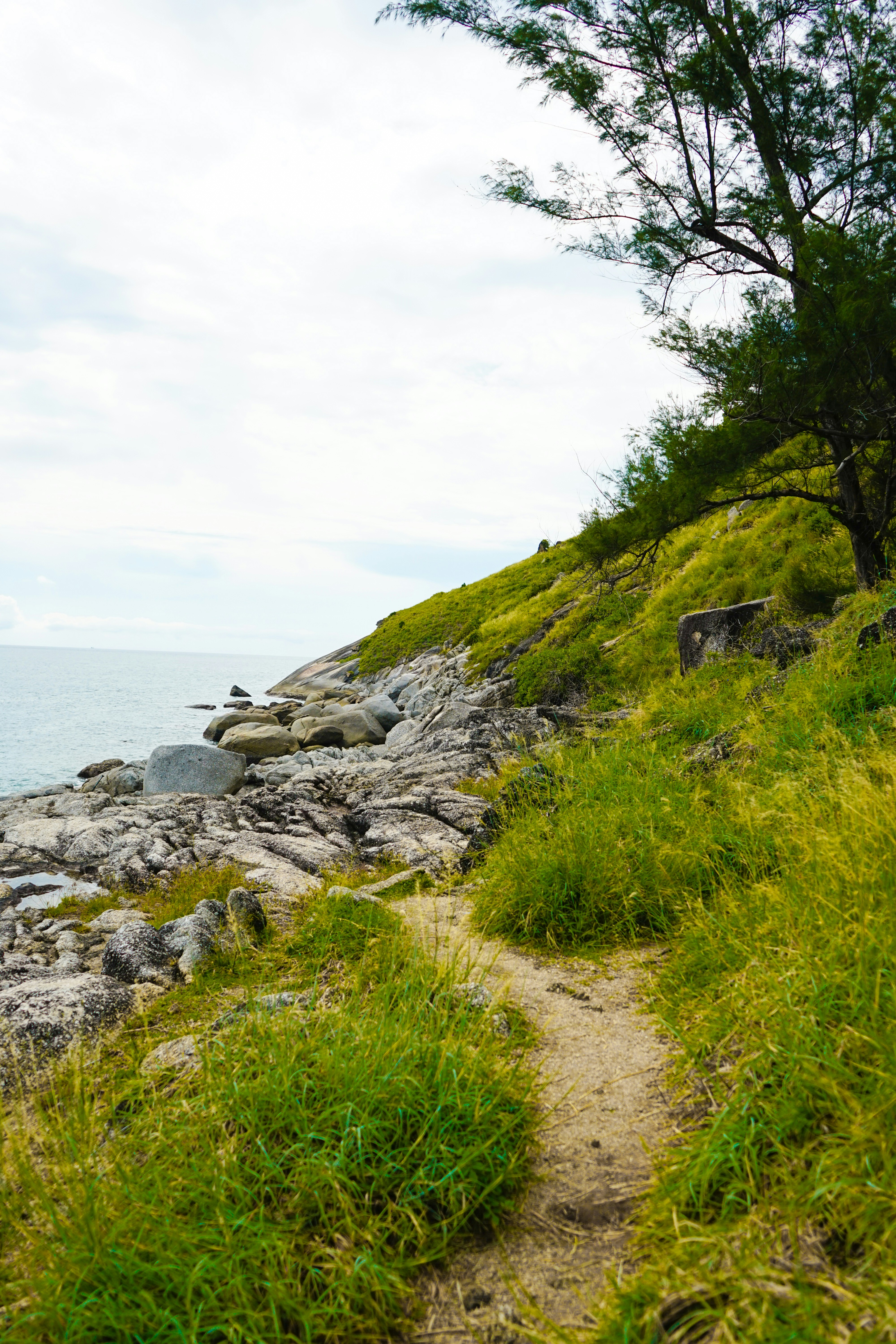 Photo by issamelbayed